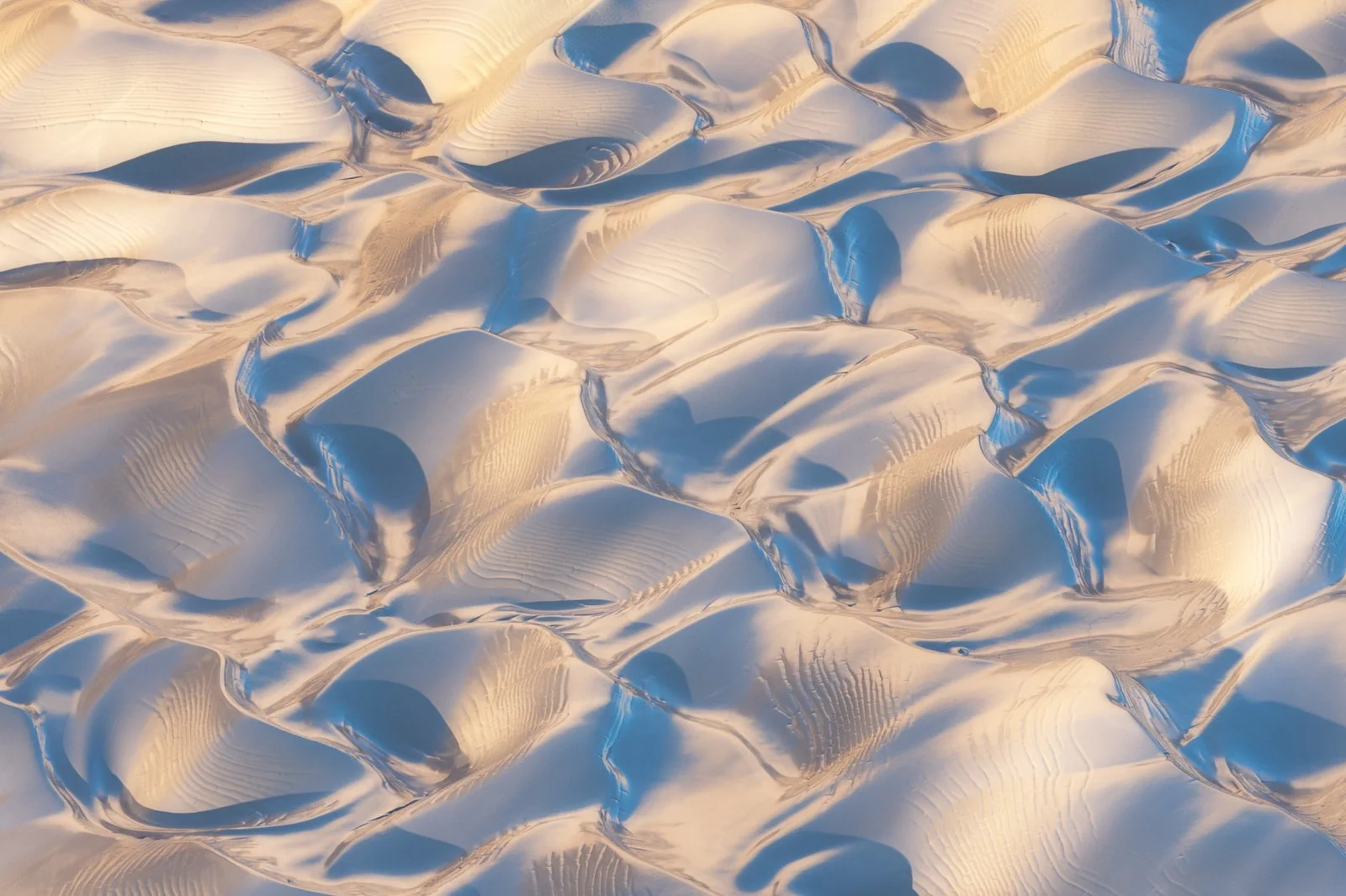 Close-up view of sand dunes with ripples and patterns, bathed in sunlight by Jennifer Renwick.