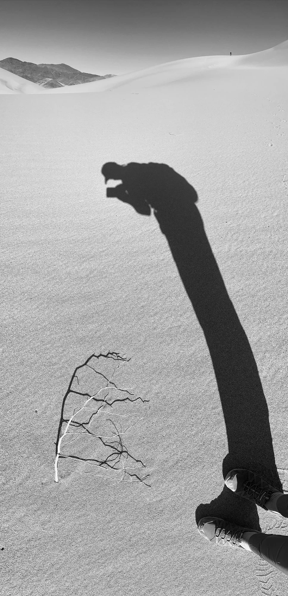 Shadow of a person taking a photo with a camera or phone in a snowy landscape with a distant mountain in the background, a dry branch on the snow, and the person's feet in hiking shoes by Claudia Welsh.