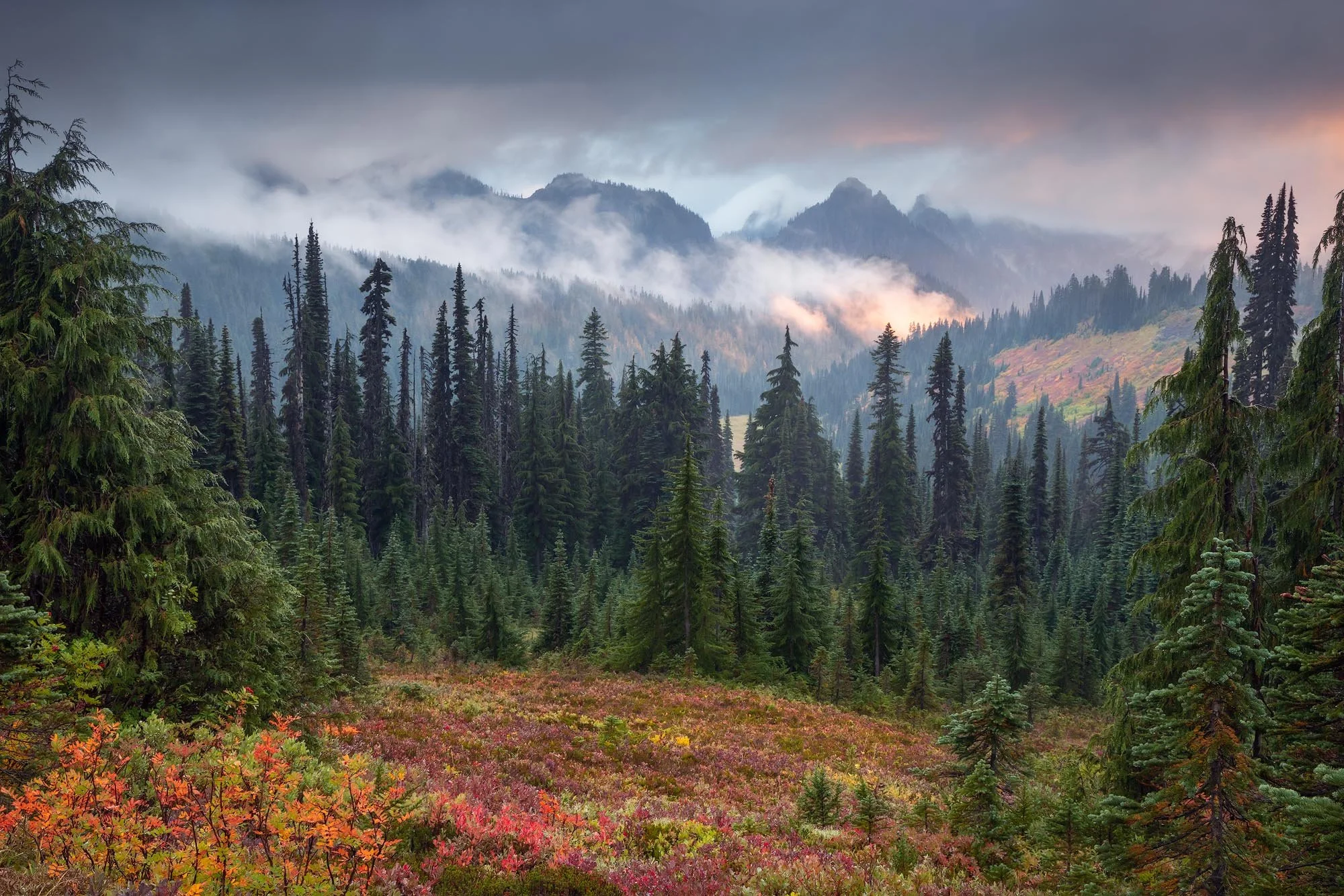 New eBook Coming Soon