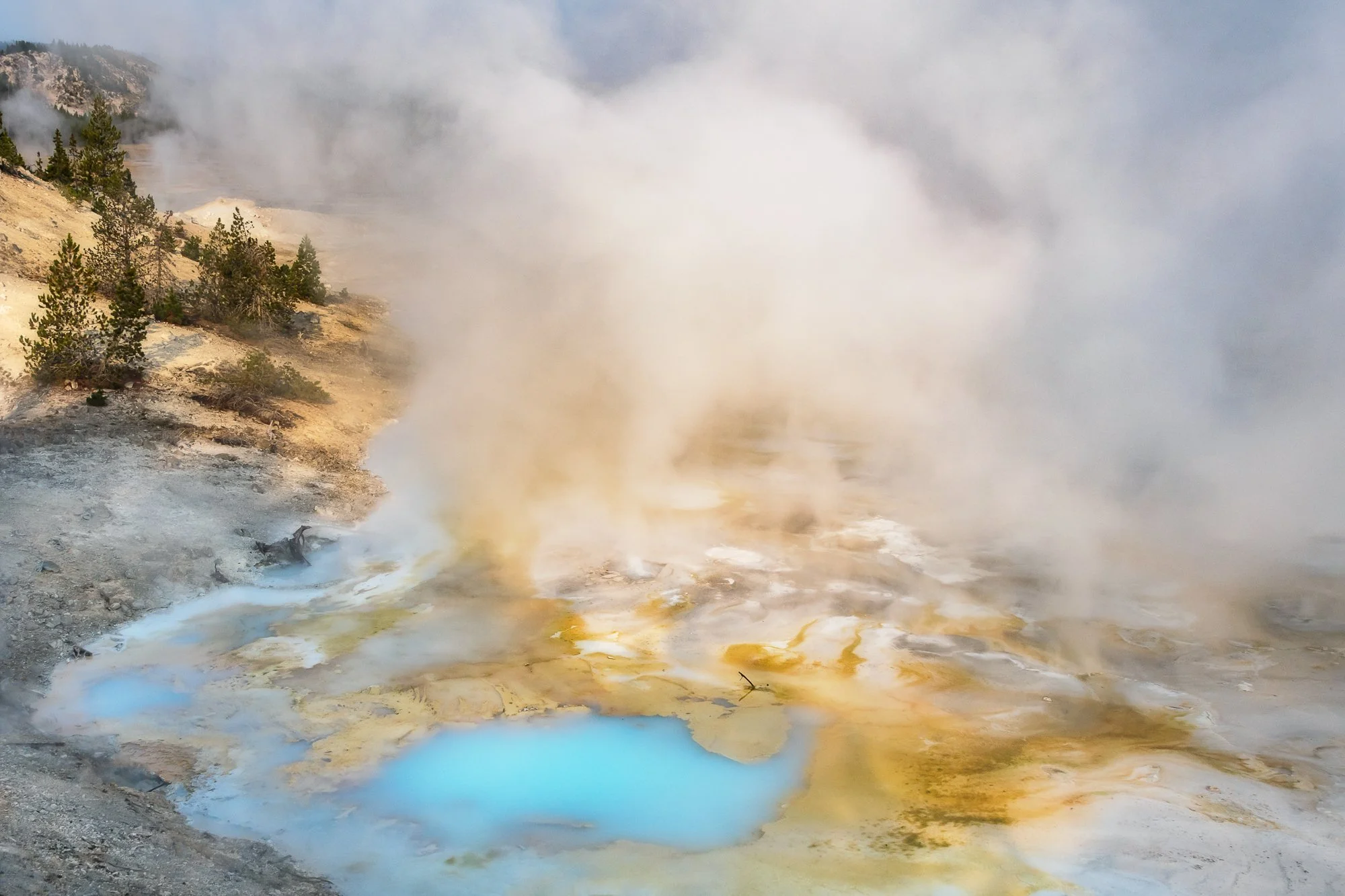 Circle of Light Reflects: Jennifer Renwick on Yellowstone National Park