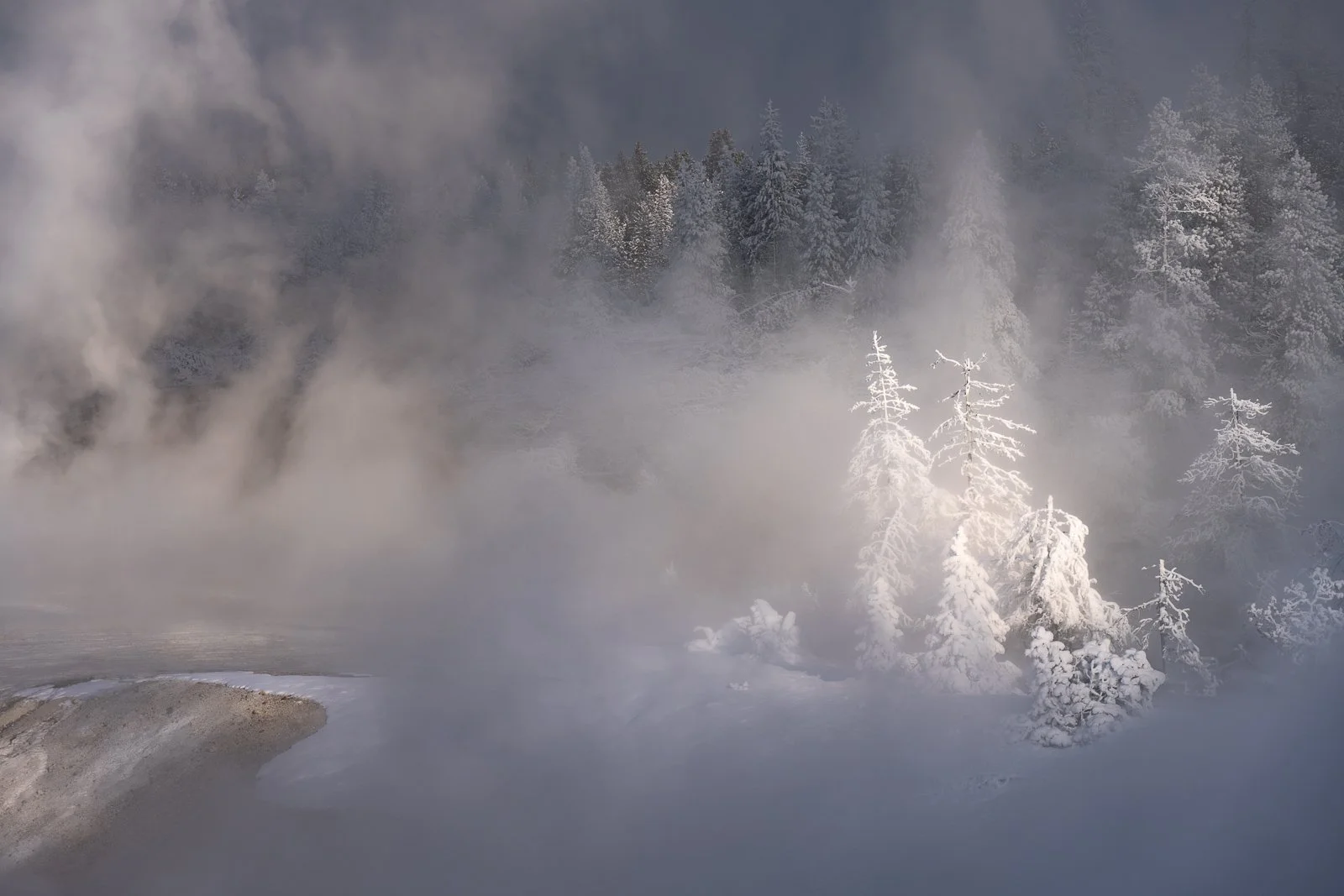 Snow-covered trees in a foggy, icy mountain landscape by Jennifer Renwick.