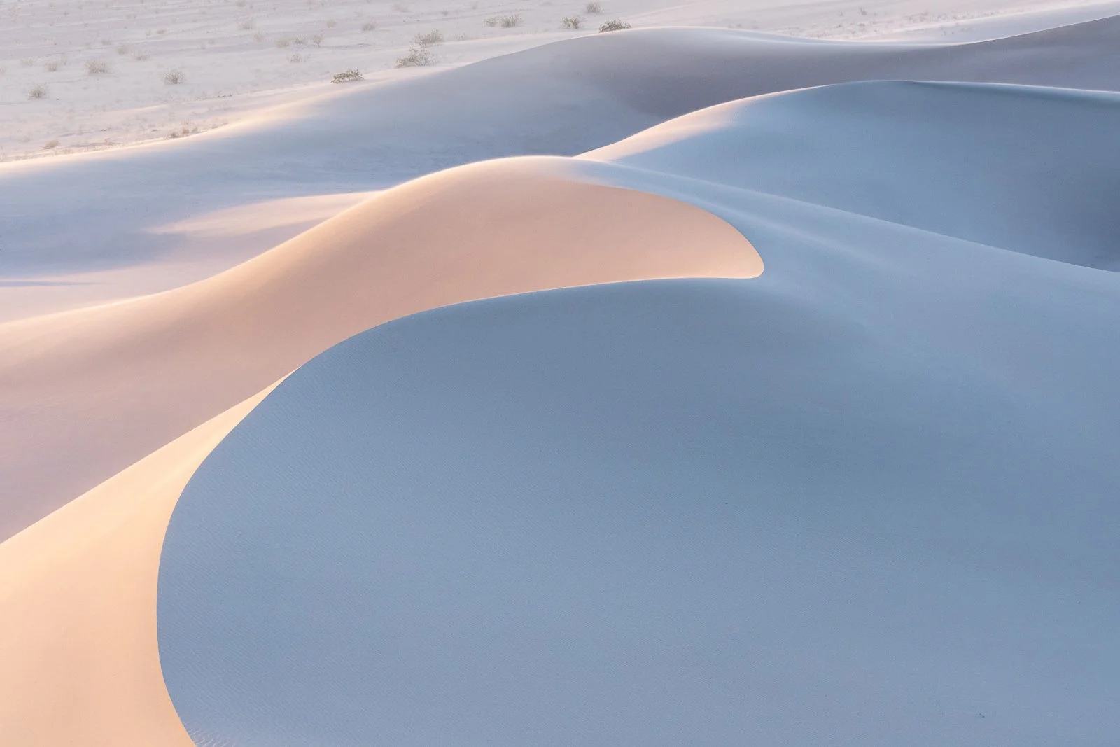 Dunes by Jennifer Renwick.