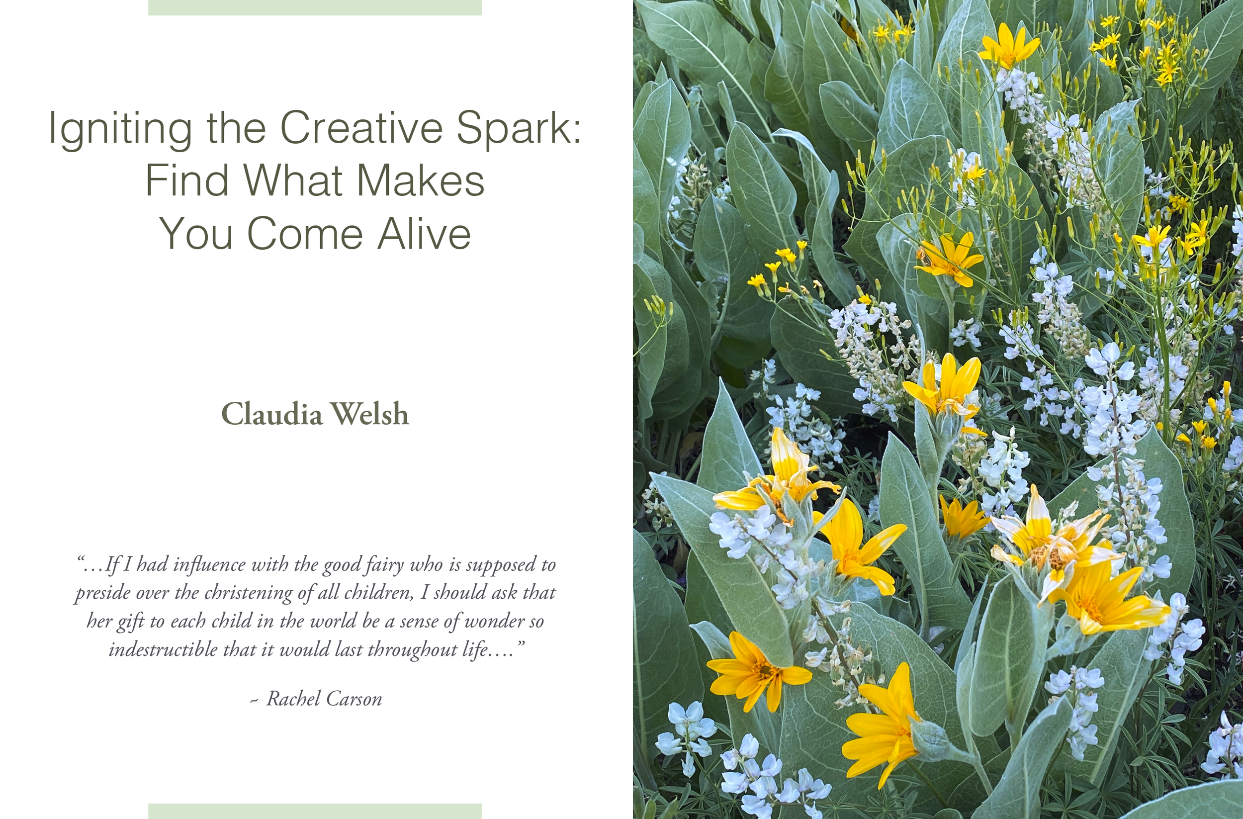 Screenshot+2026-03-09+at+4.13.09 PM.webp