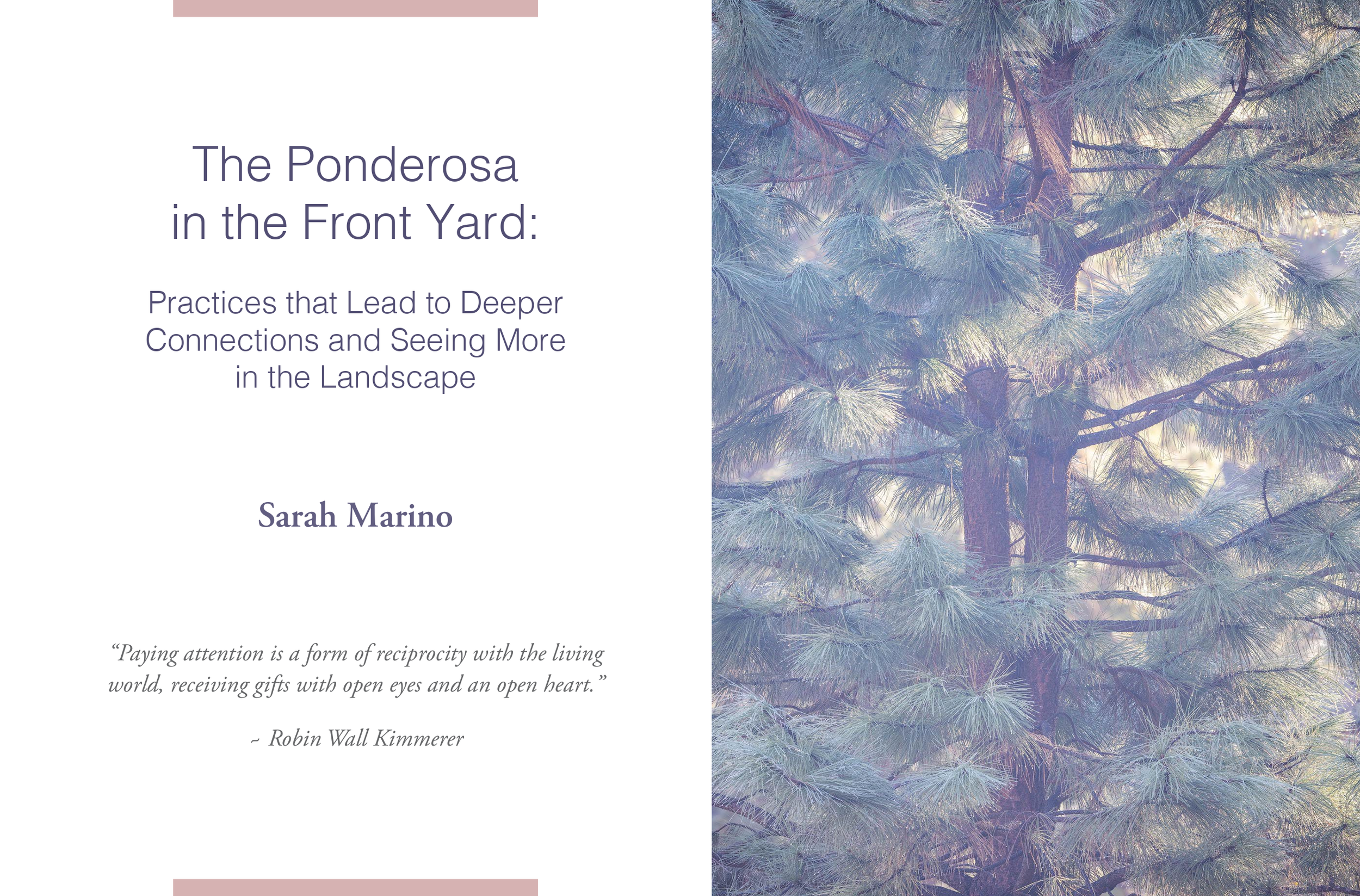 Screenshot+2026-03-09+at+4.13.17 PM.webp