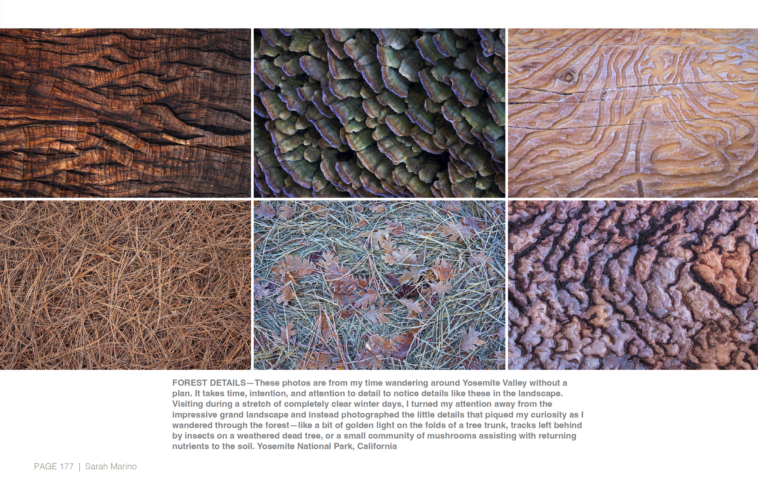 Screenshot 2026-03-19 at 8.42.38 AM.png