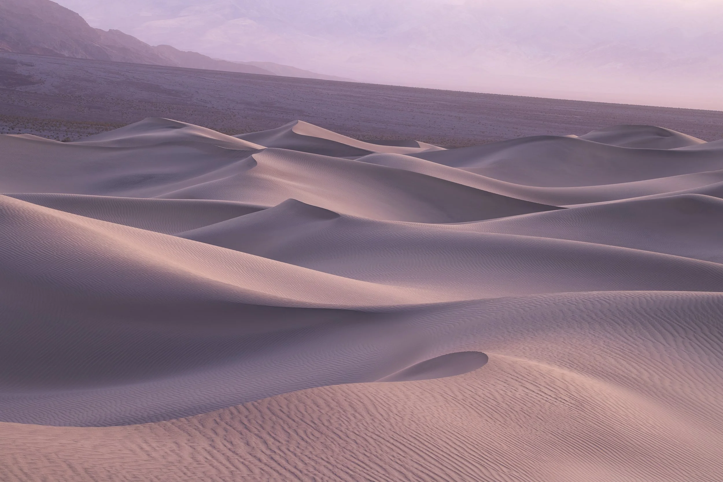 Sand dunes in a desert landscape with a mountain range in the background during sunset, with soft purple and pink hues by Sarah Marino.