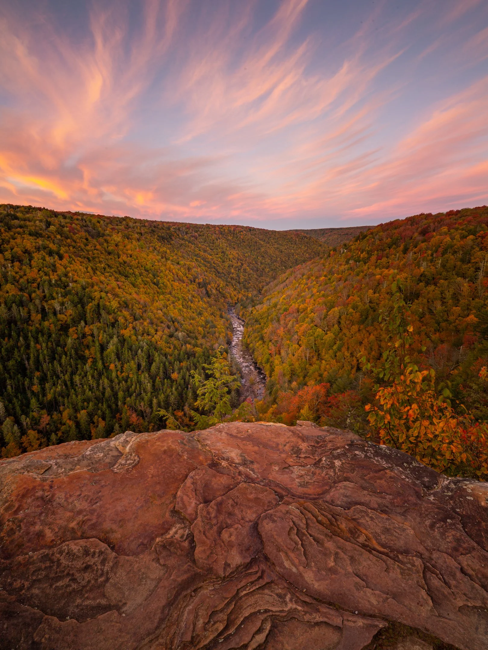 Sunset over Blackwater Canyon, surrounded by colorful autumn trees, viewed from a rocky cliff by Michele Sons.