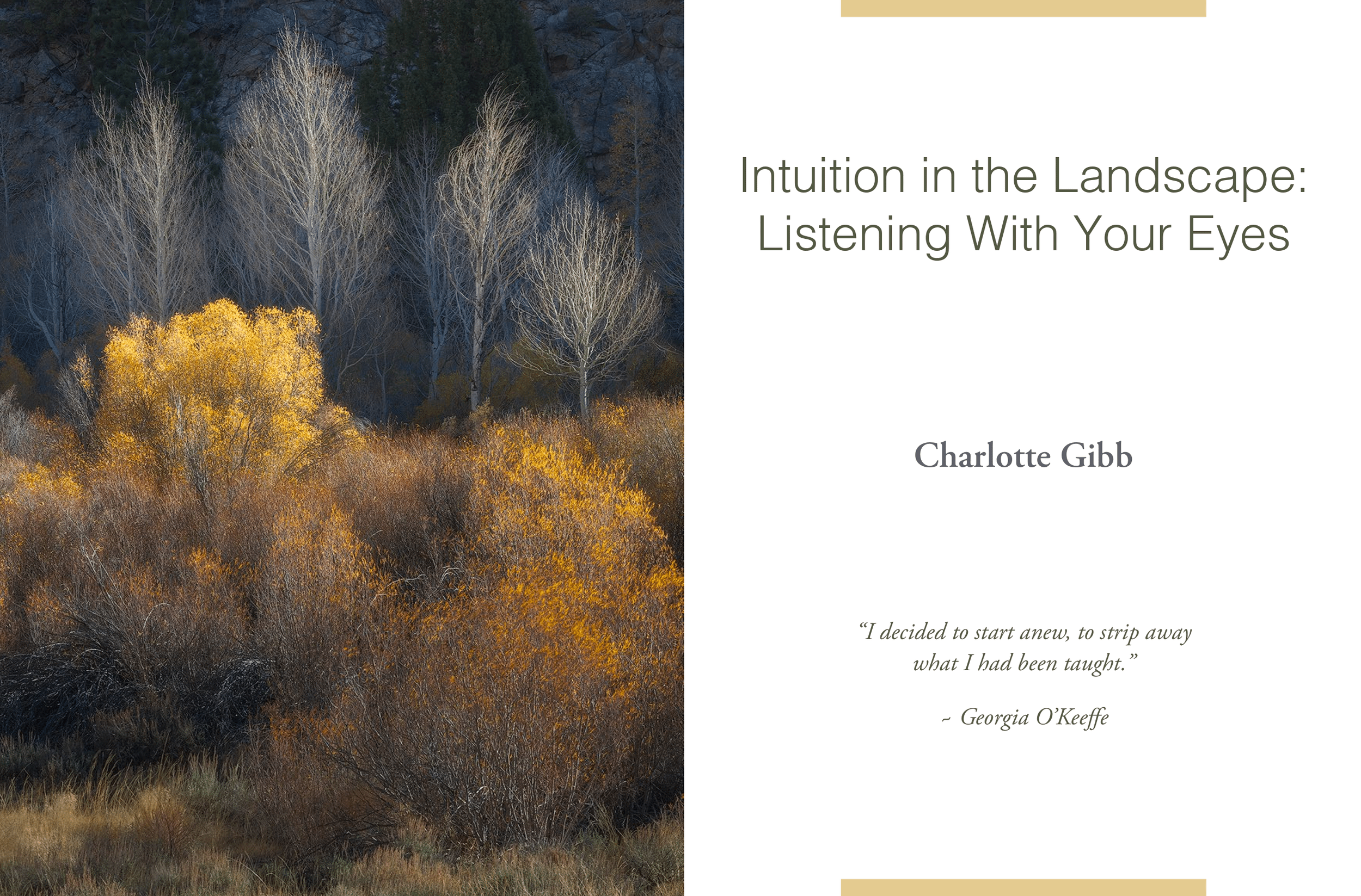 Screenshot+2026-03-09+at+4.12.45 PM.webp