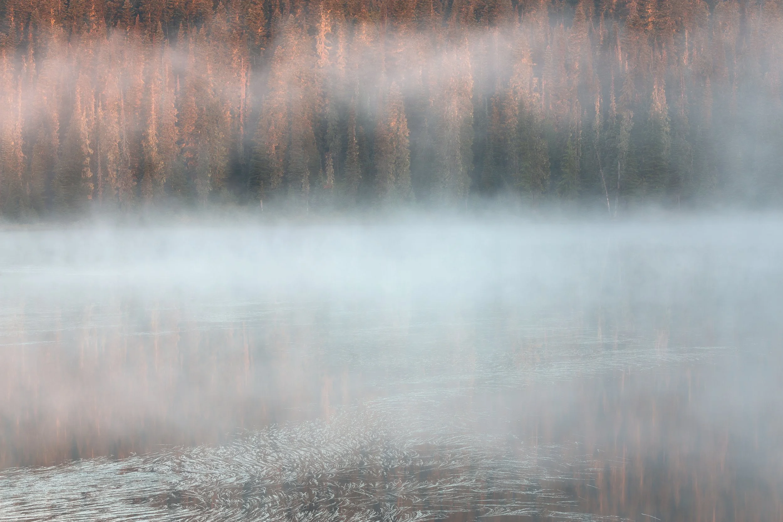 A foggy lake with reflections of trees in the water and a misty atmosphere by Anna Morgan.