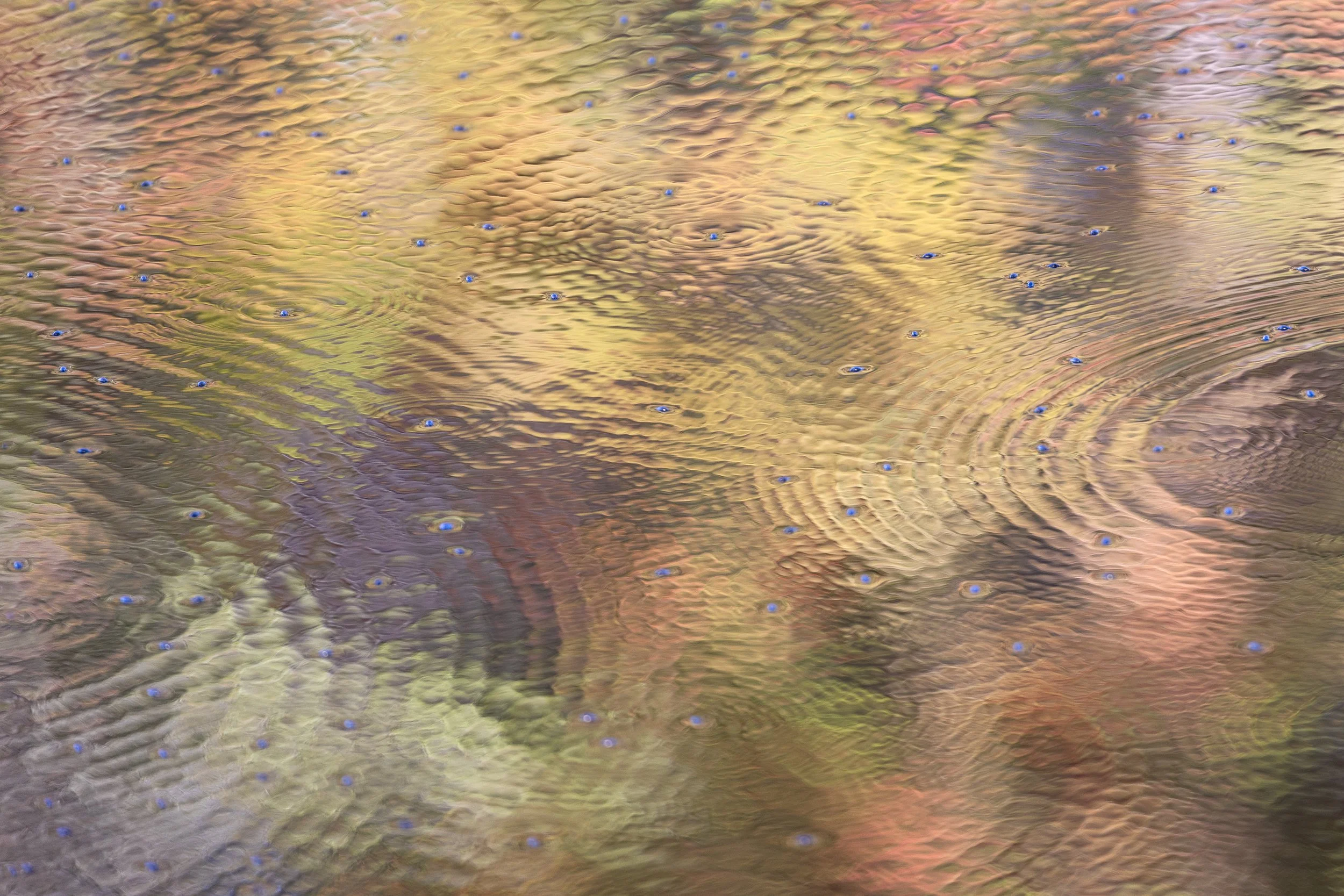 Close-up of a surface with water ripples and small blue dots scattered across it by Anna Morgan.