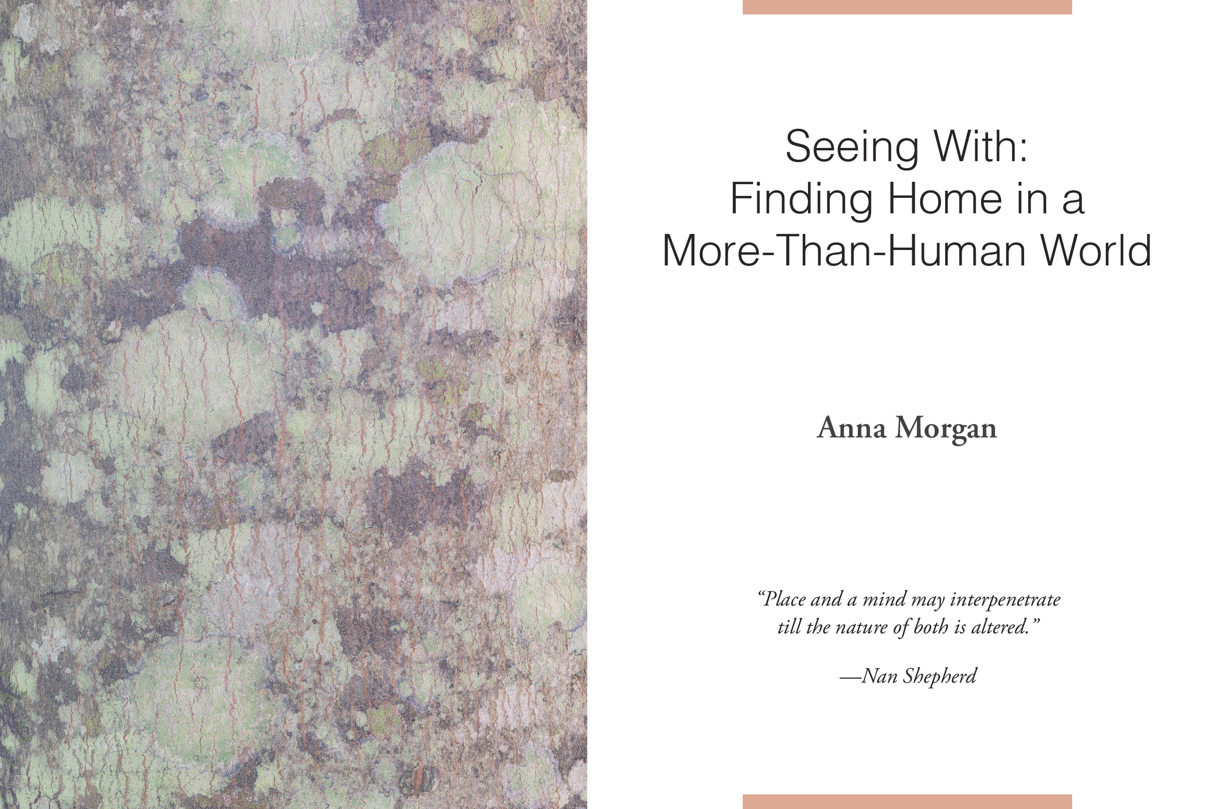 Screenshot 2026-03-09 at 4.13.30 PM.png