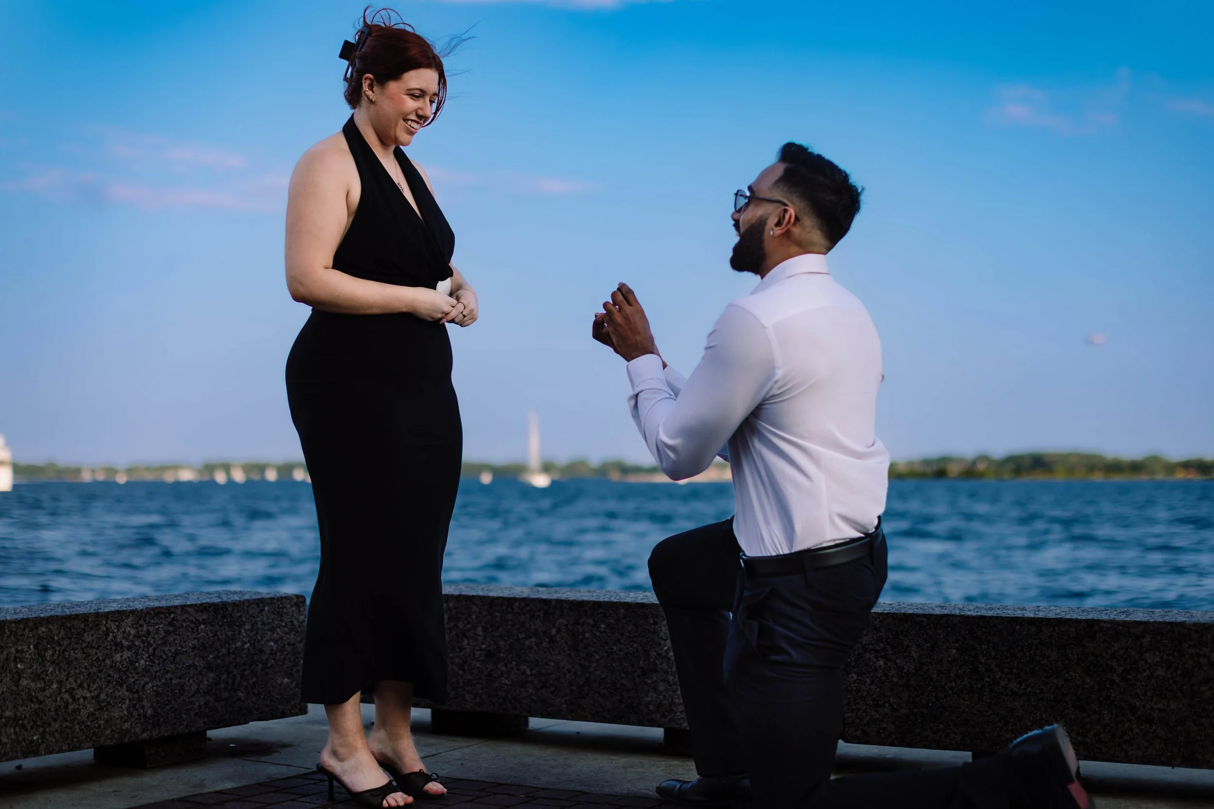A Surprise Proposal at Ireland Park | Toronto Proposal Photographer