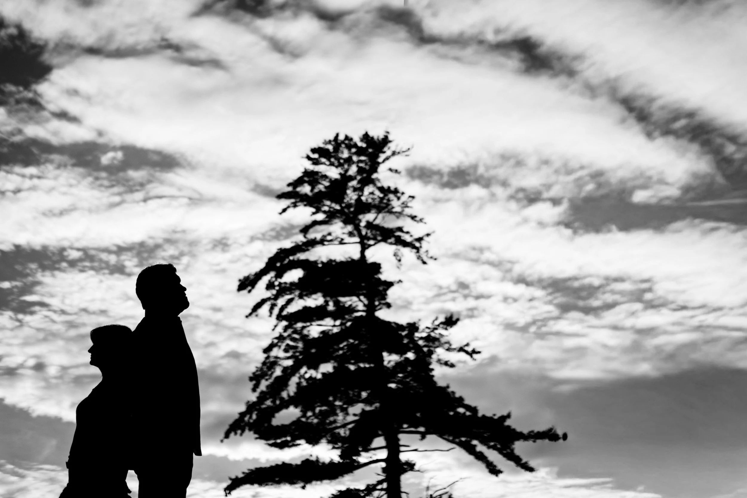 Engagement Session at Riverwood Conservancy | Toronto WEDDING Photographer