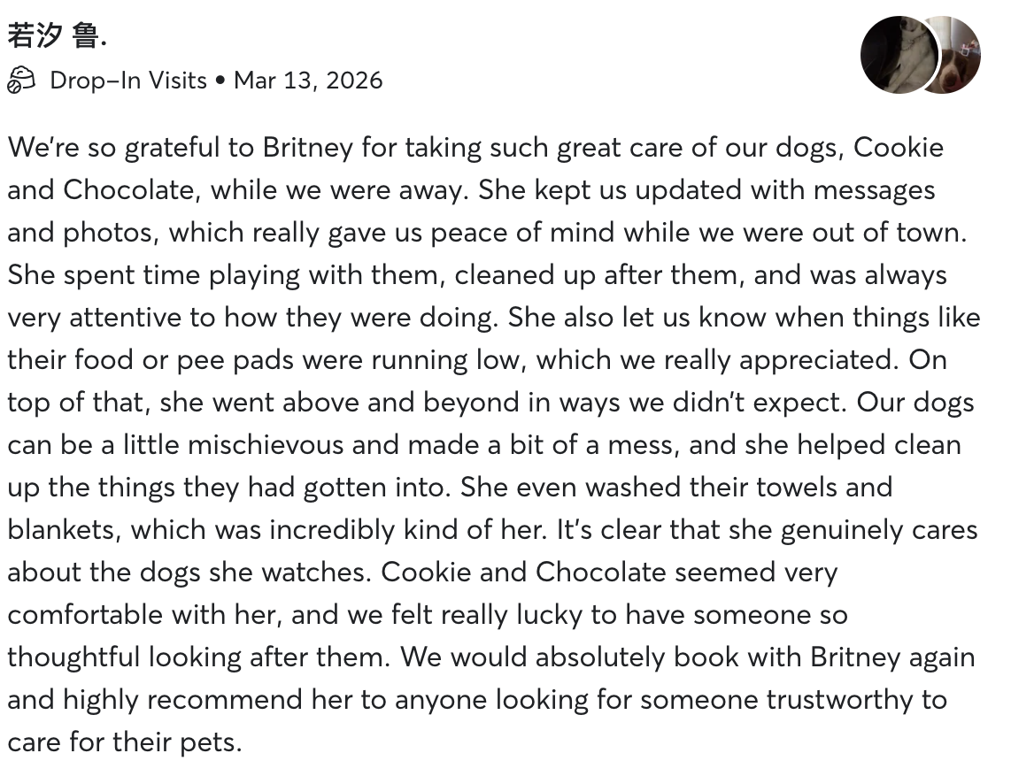 Screenshot of a pet care review discussing Britney, who took care of dogs Cookie and Chocolate, providing updates and showing her attentive nature.