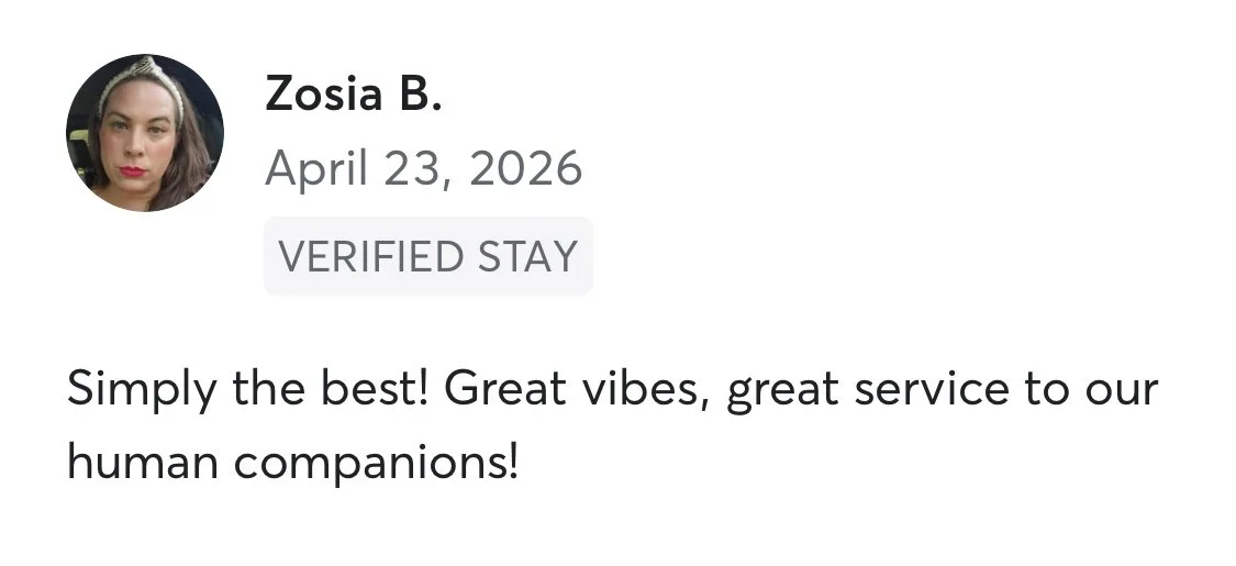 Screenshot of a review by Zosia B. dated April 23, 2026, praising great vibes and service to human companions.