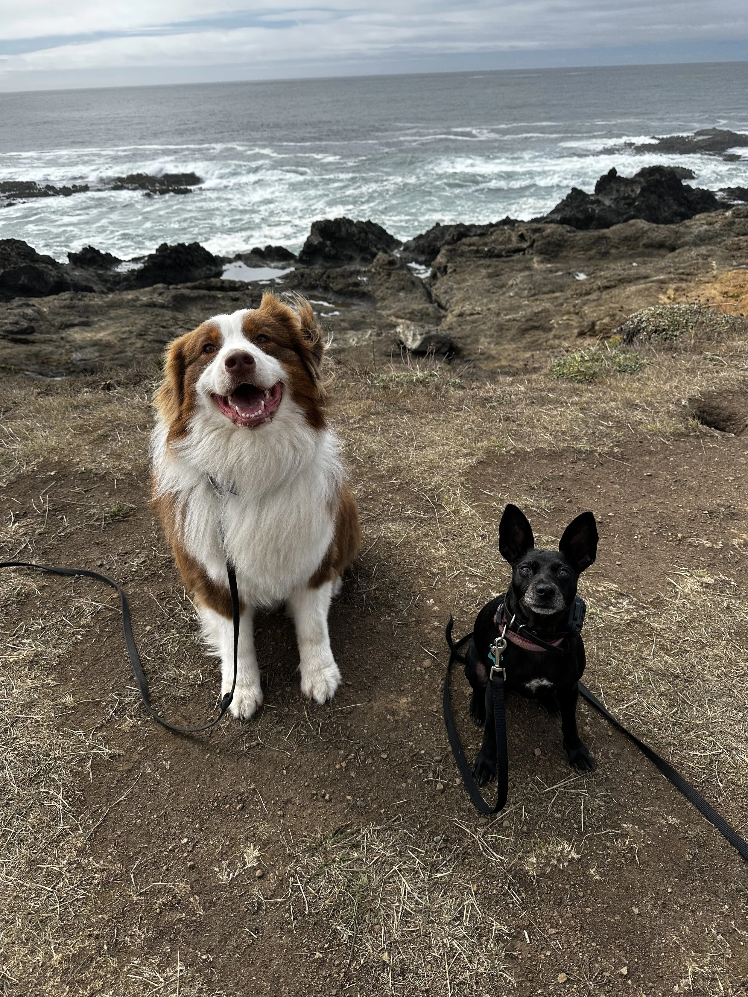 sadie_beach.jpg
