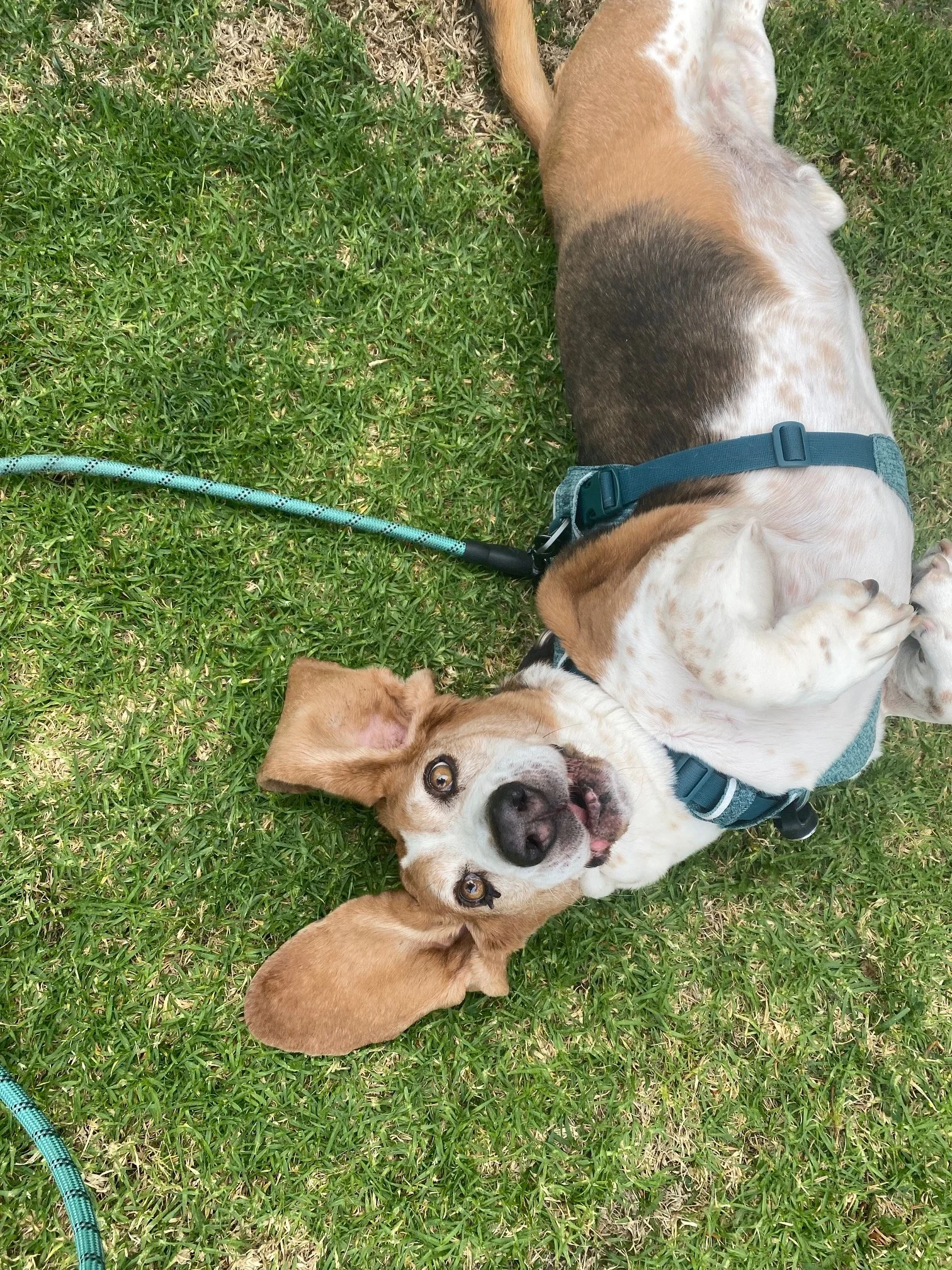 IMG_5762.jpg