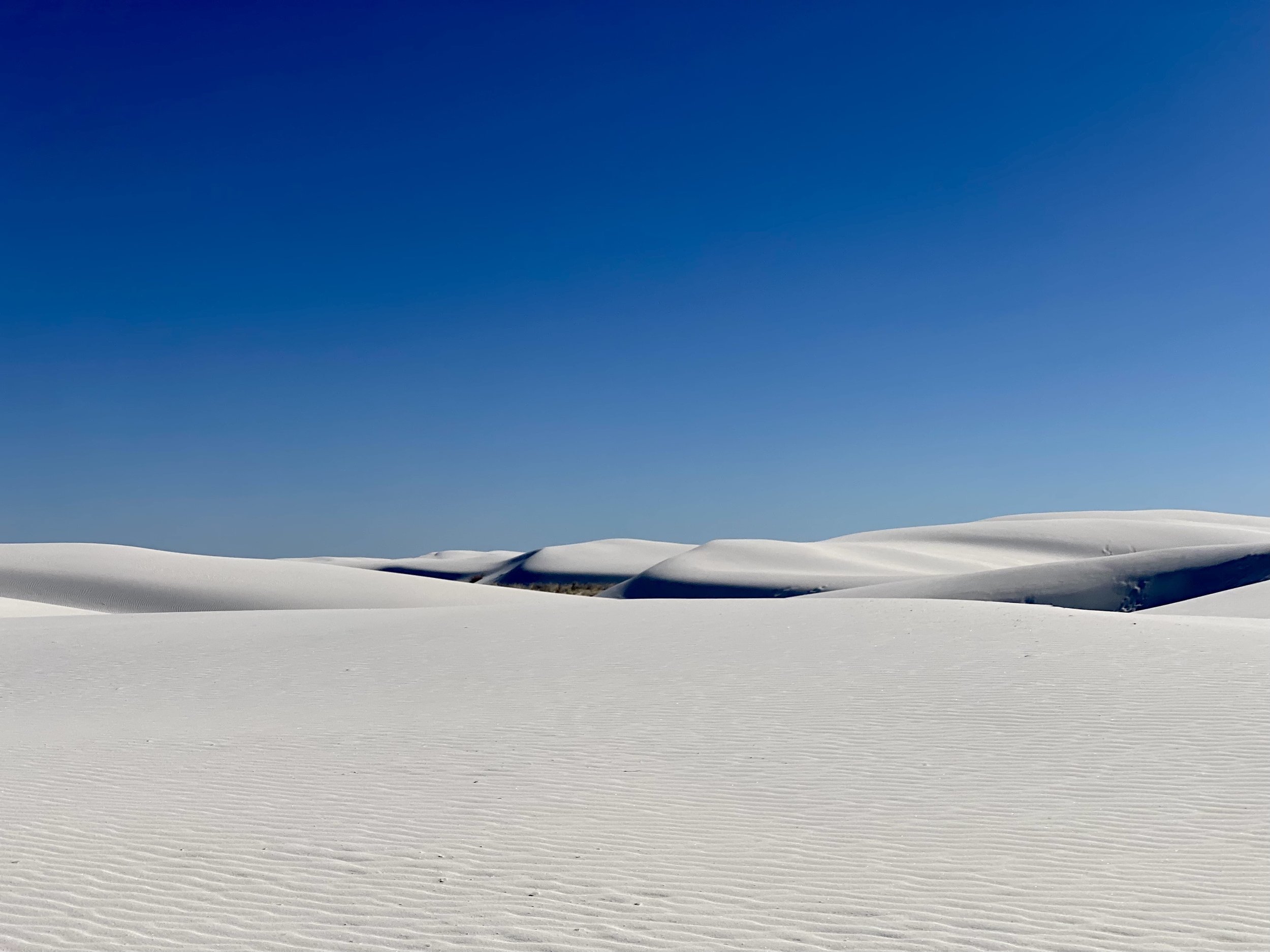 Snow-covered rolling landscape with a clear blue sky above.