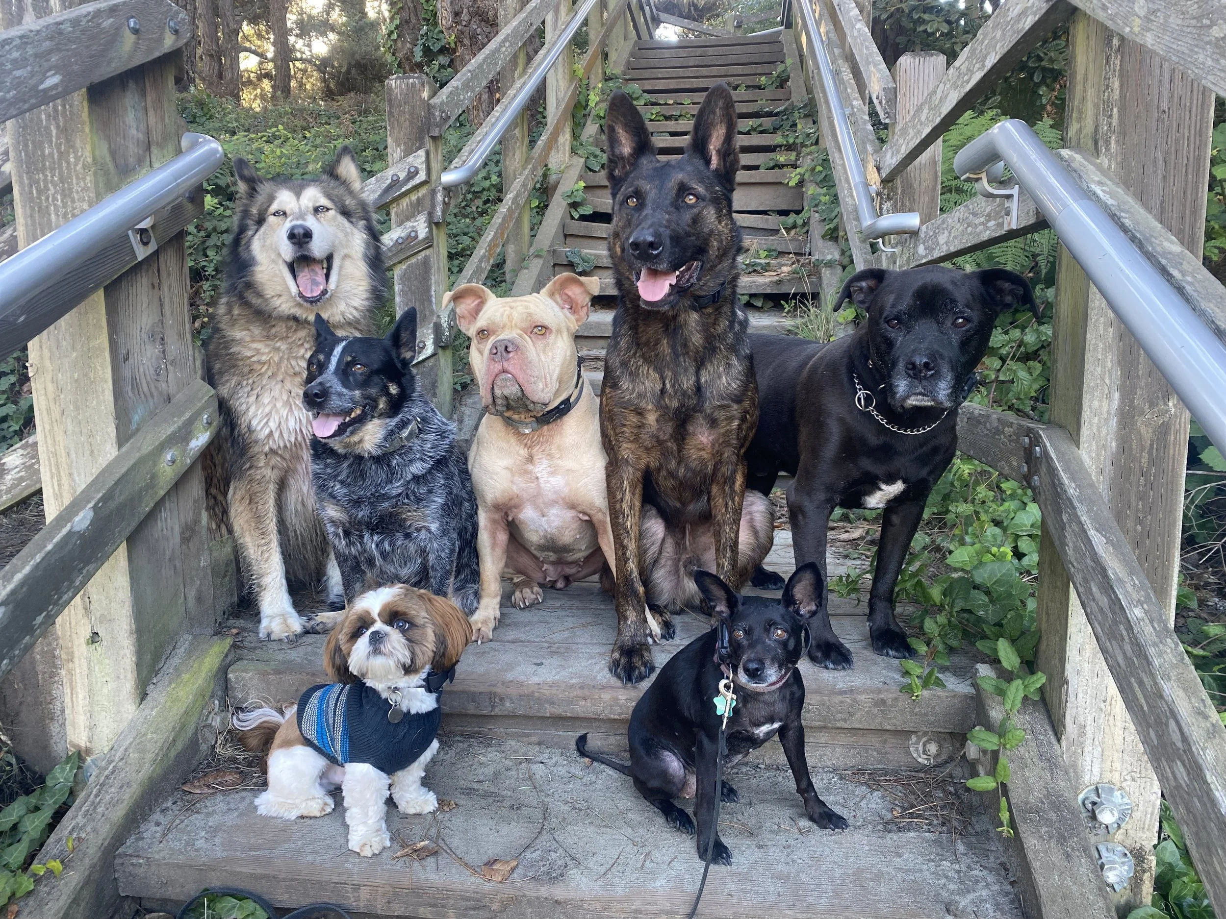 the gang.jpg