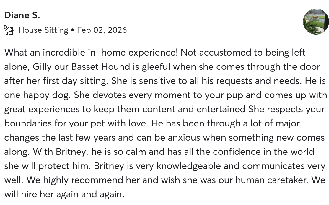 Screenshot of a pet sitting service review describing a dog named Gilly and a dog named Britney, with details about their behavior and the pet sitter's experience.