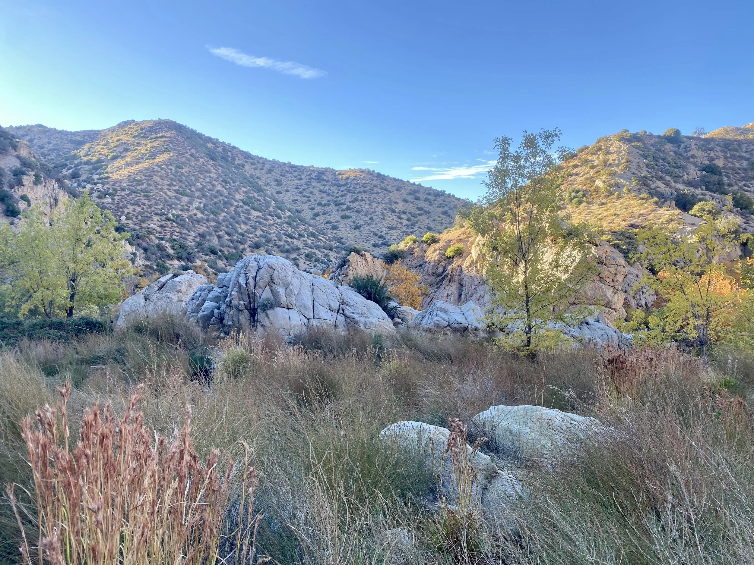 A panoramic landscape of rocky hills with sparse bushes and trees, under a clear blue sky.