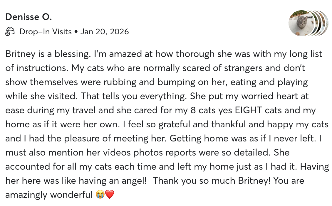 Screenshot of a customer review about Britney, a cat, describing her caring nature and the customer's experience with her.