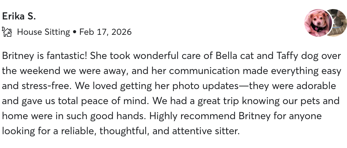 Screenshot of a pet sitting service review mentioning caring for a cat and dog, with a profile picture of a dog wearing a pink shirt.