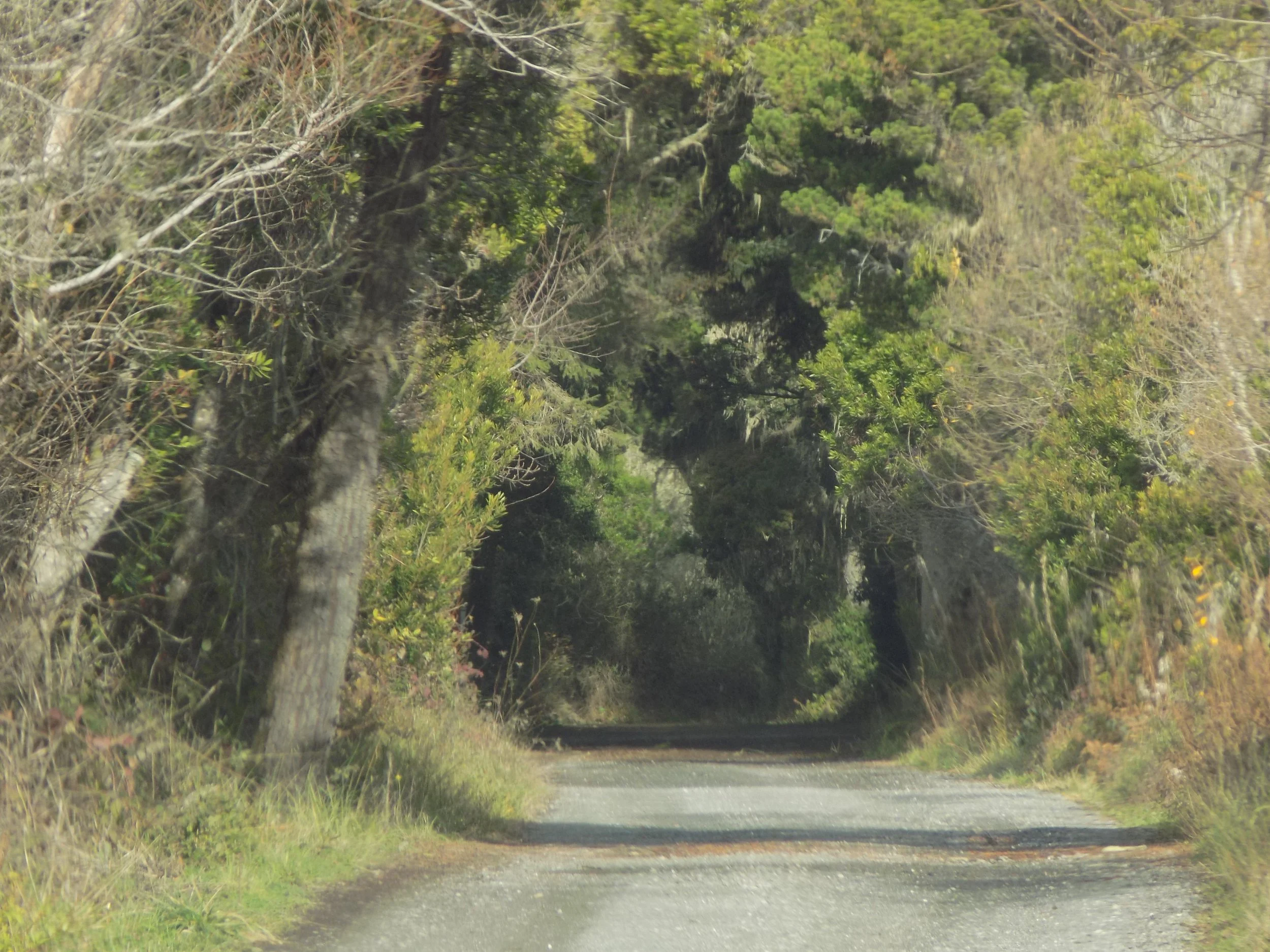 the ever-changing memories within time. |