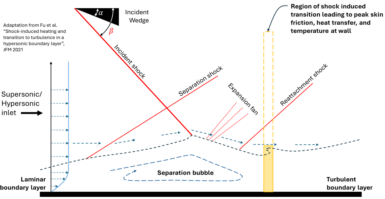 Shock–Boundary Layer Interaction: Incident Shock Impingement 