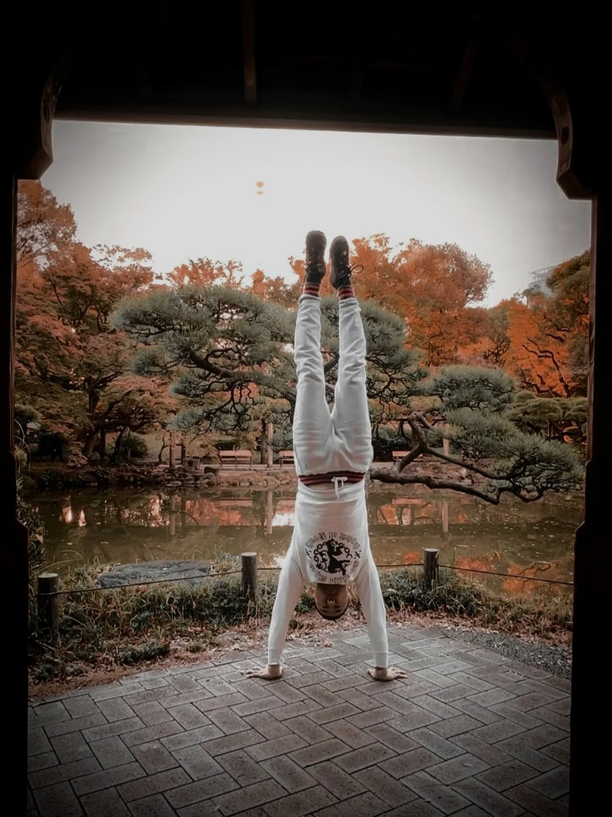 Person performing a handstand outdoors on a paved surface with autumn-colored trees and a pond in the background.