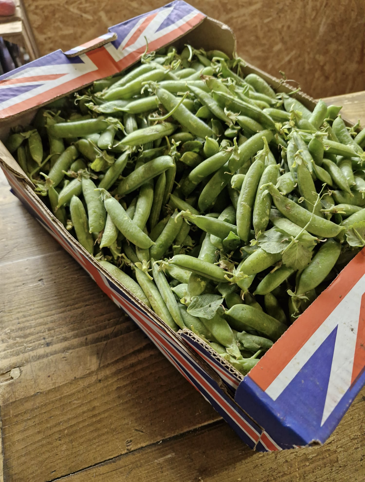 Peas.png