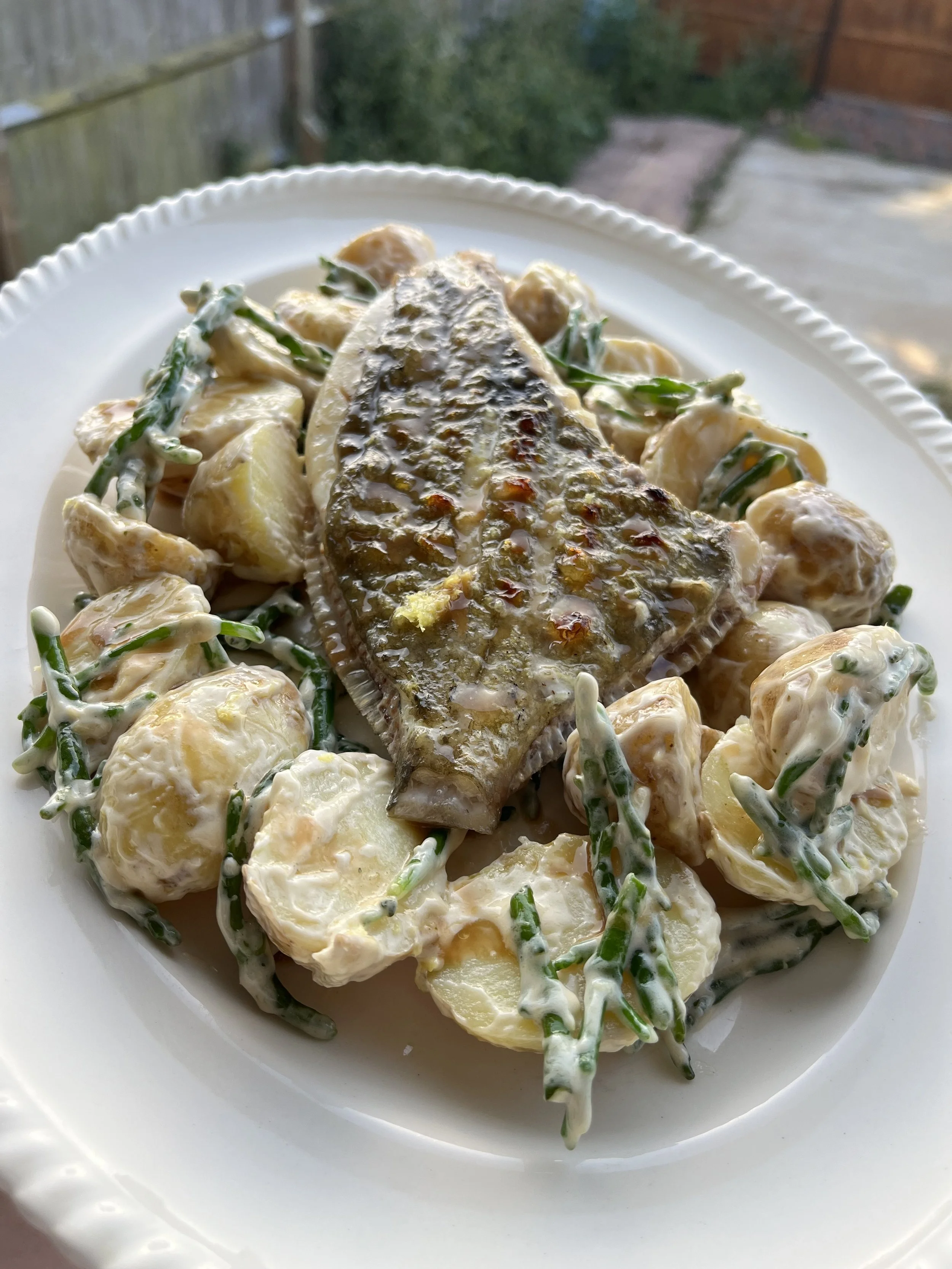 Grilled John Dory, chimicurri butter, Samphire & new potato Salad 26/05