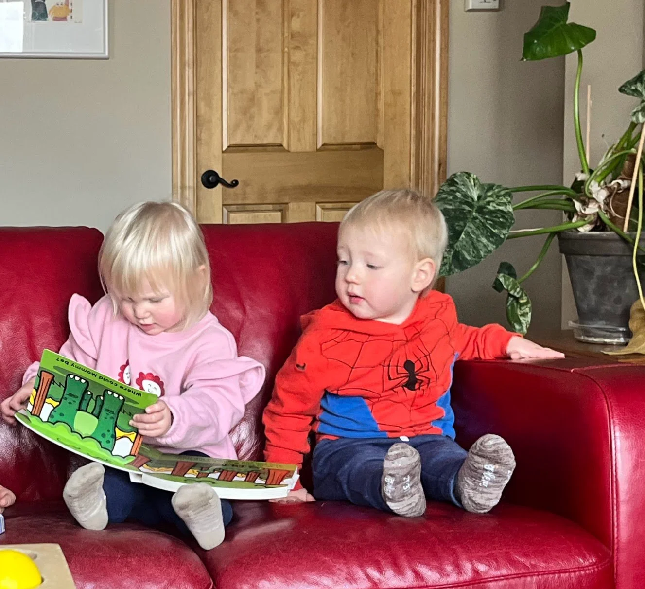 Cousins reading.