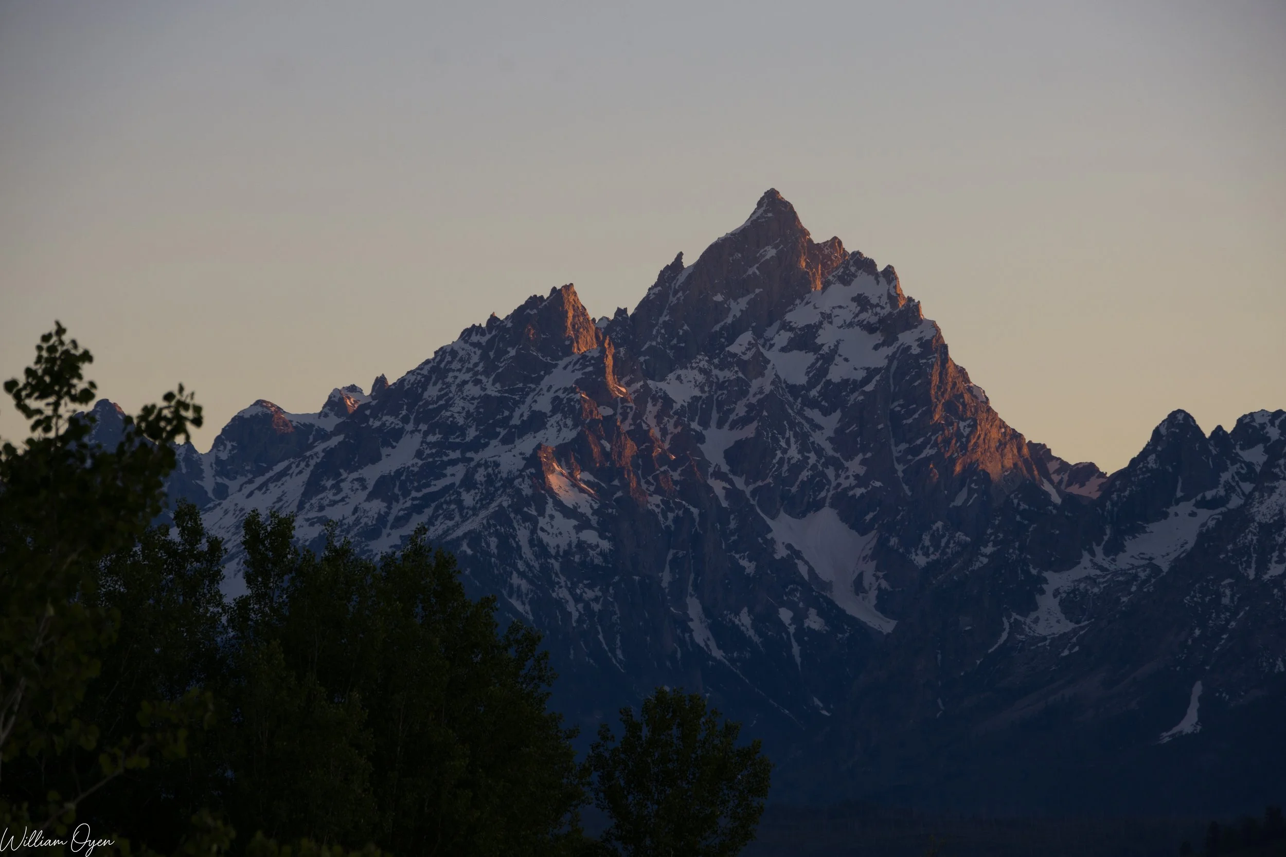 Snow-capped mountain peaks at sunset, with dark green trees in the foreground.