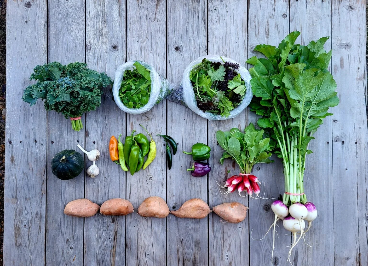 CSA Share Notes – Nov 6, 2025