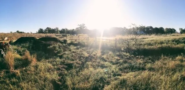 No Unsacred Places: A New Farming Ethic