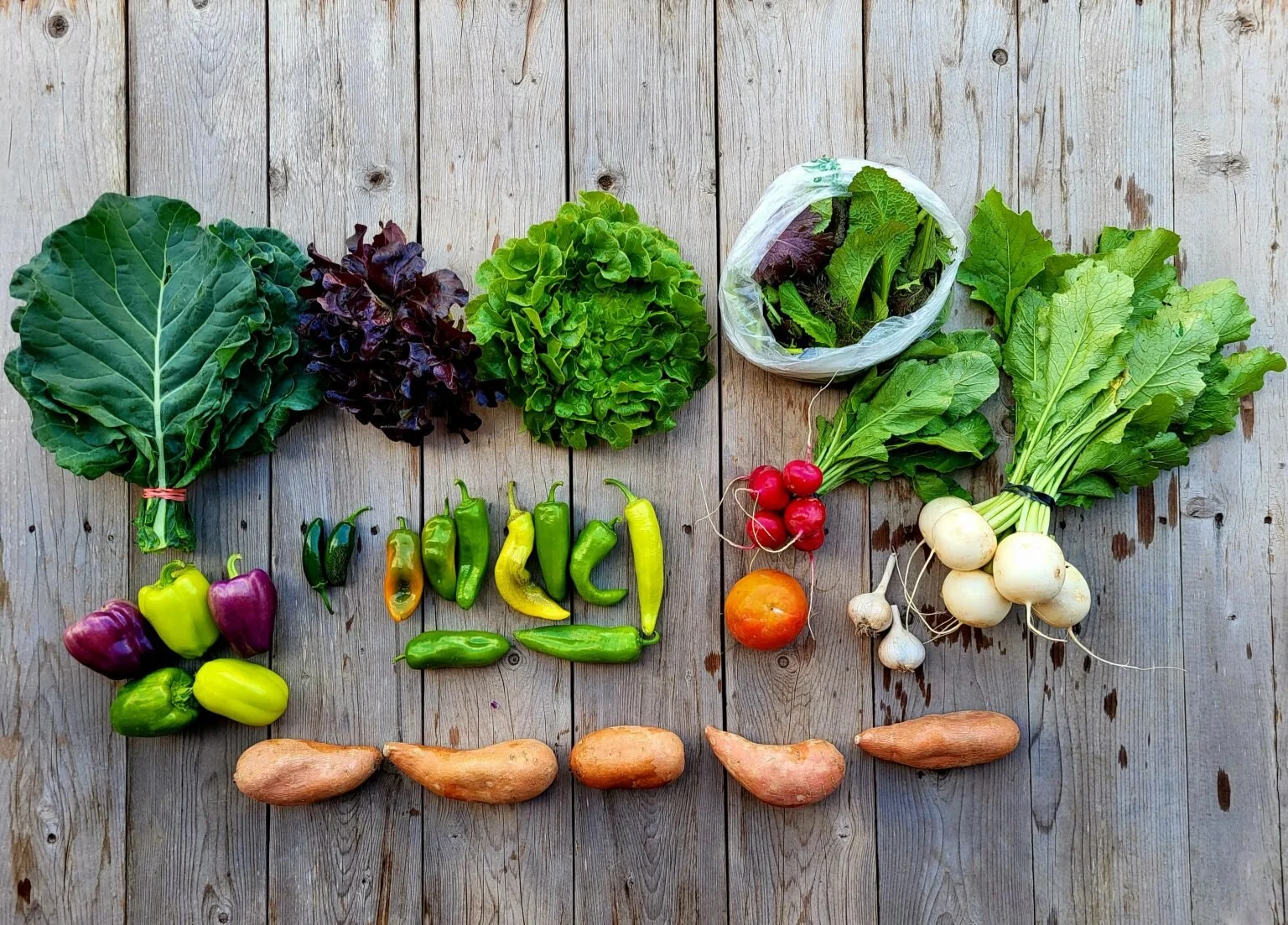 CSA Share Notes Oct 30, 2025