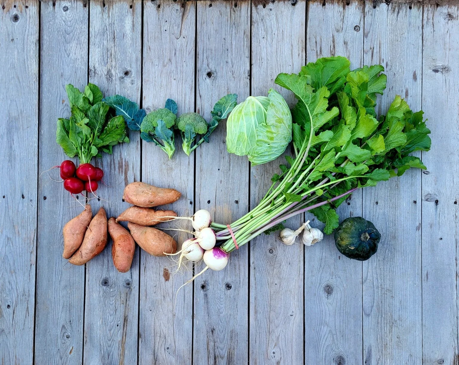 CSA Share Notes – Nov 13, 2025