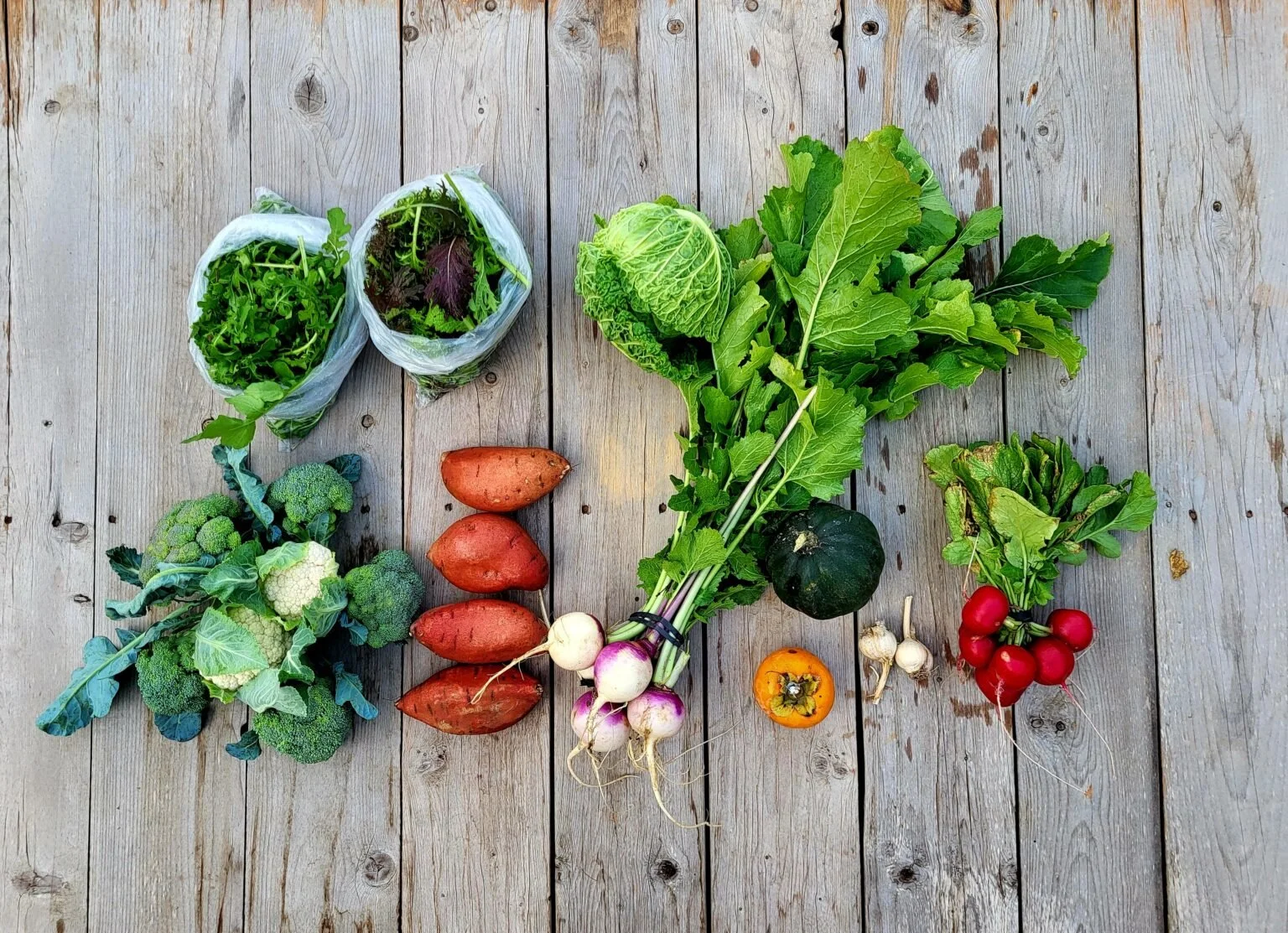 CSA Share Notes – Nov 20, 2025