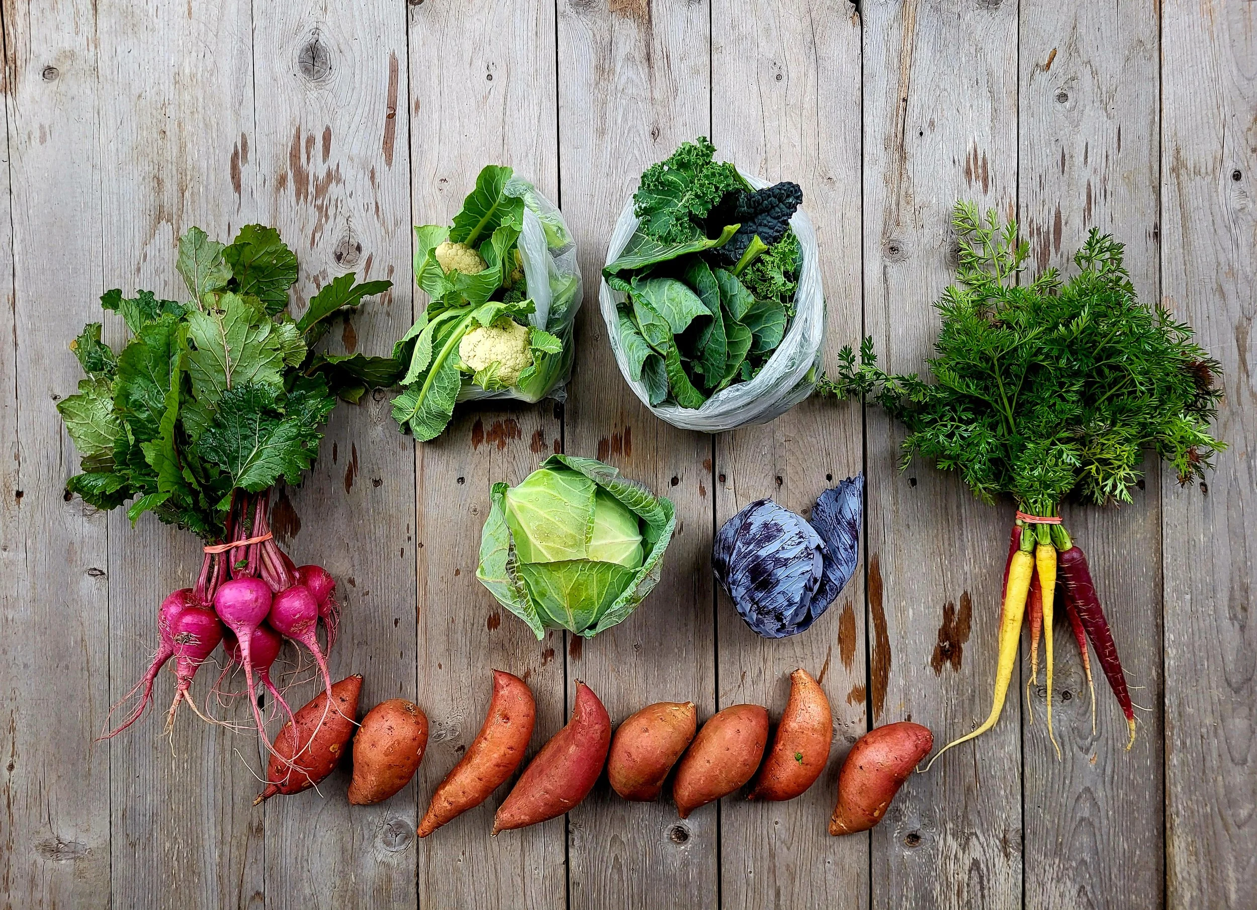 CSA Share Notes – Jan 22, 2026