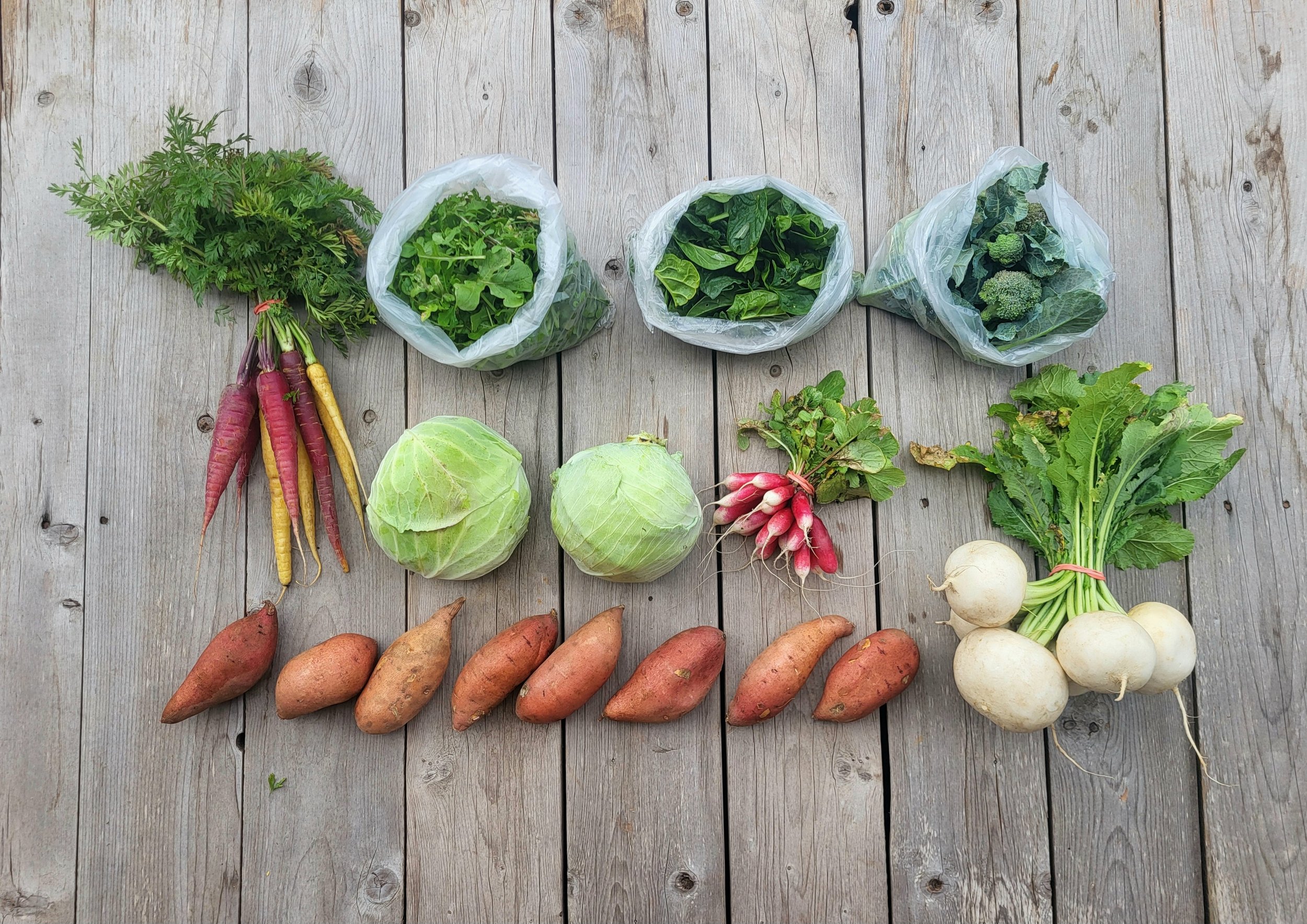 CSA Share Notes – Jan 8, 2026 