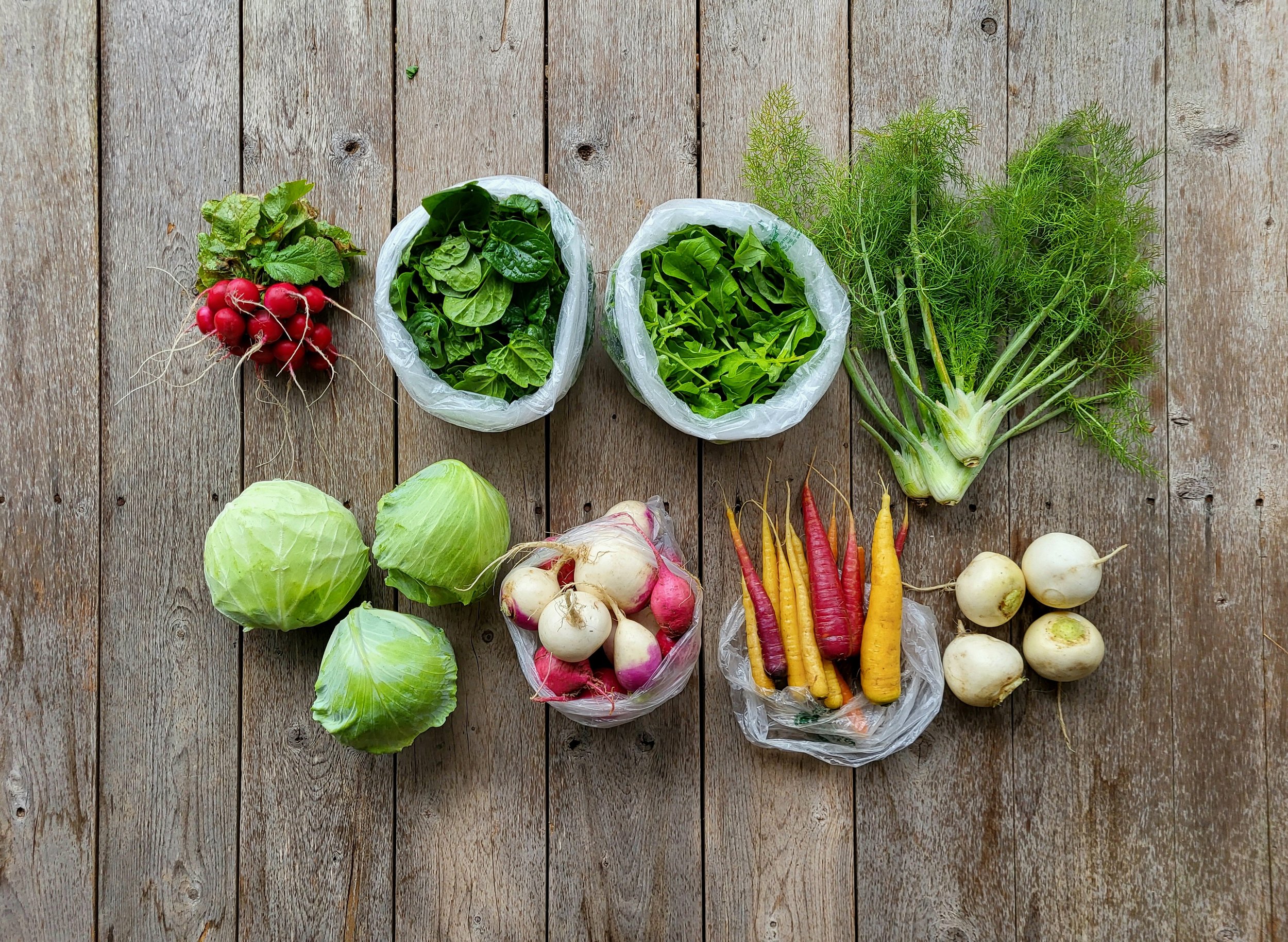 CSA Share Notes – Jan 22, 2026