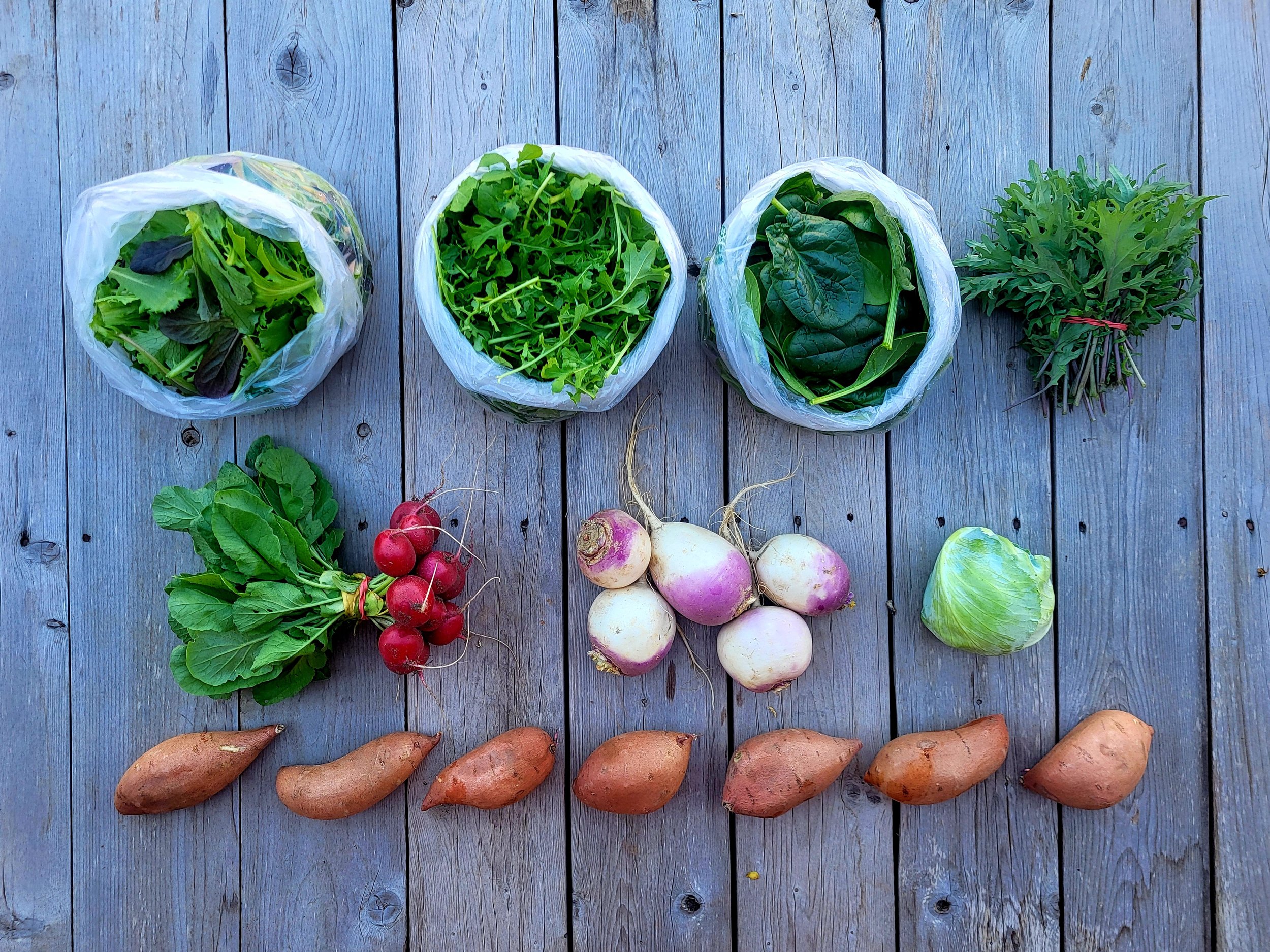 CSA Share Notes – Feb 26, 2026