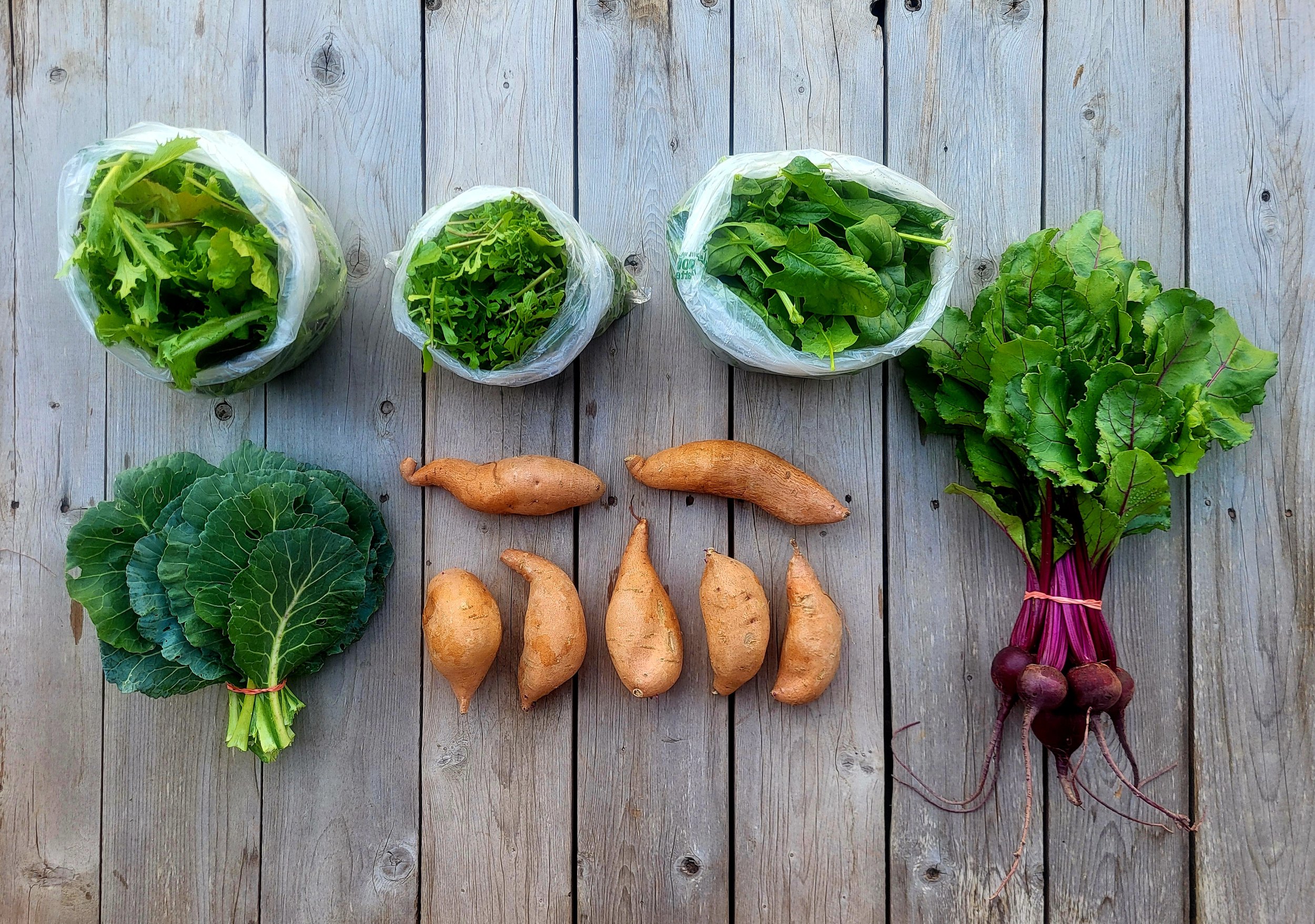 CSA Share Notes – Mar. 19, 2026 