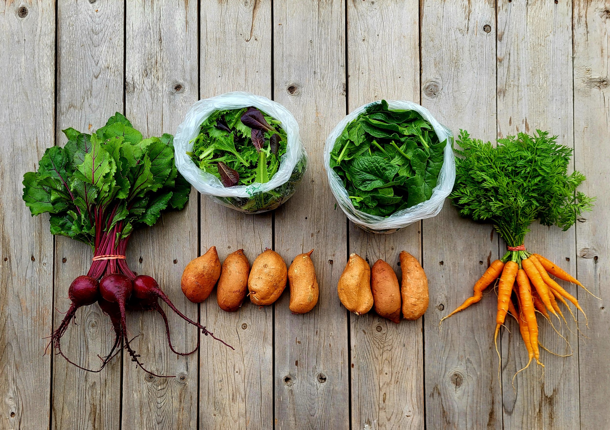 CSA Share Notes – Apr. 2, 2026 