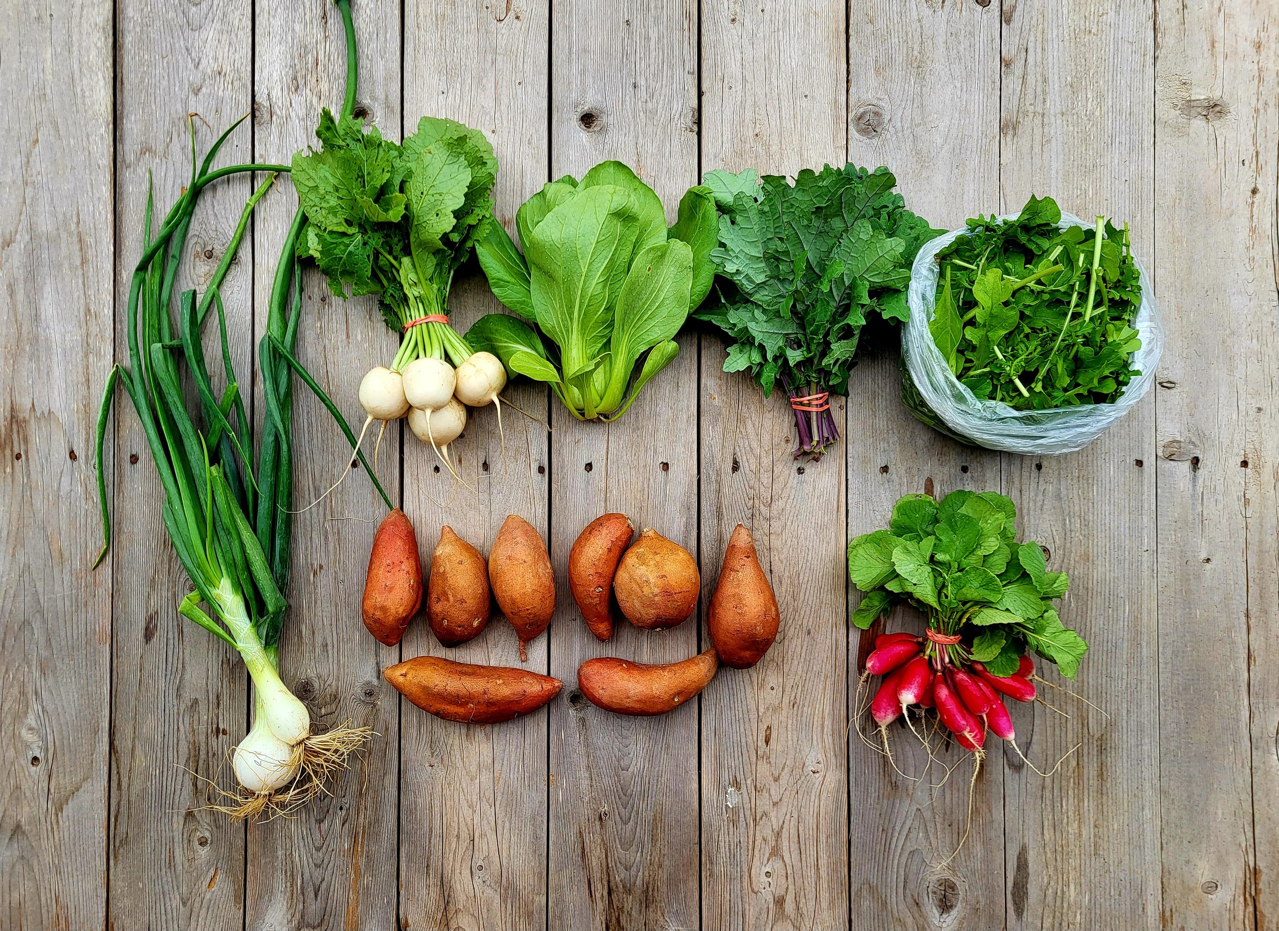 CSA Share Notes Apr 16, 2026
