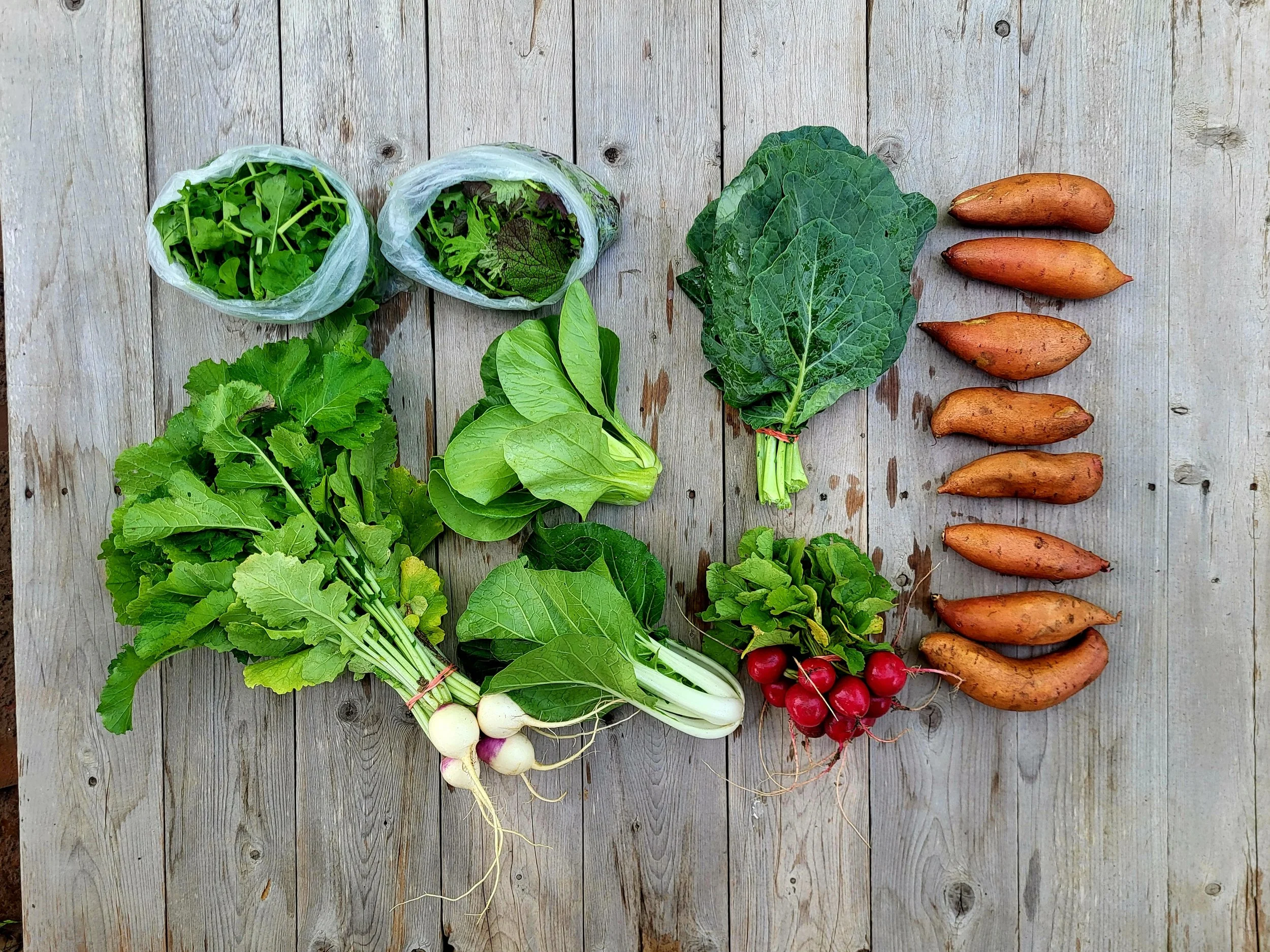 CSA Share Notes Apr 23, 2026