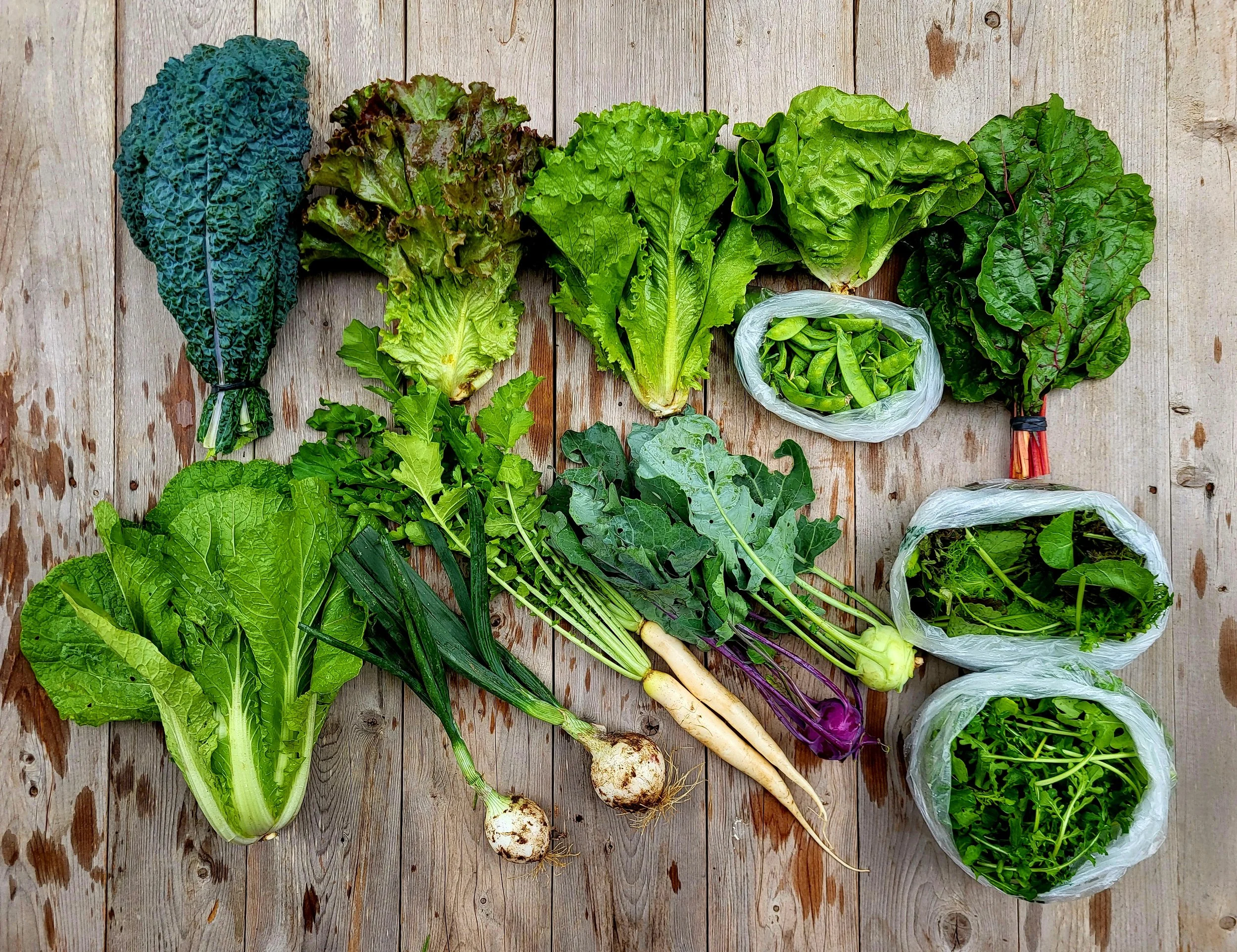 CSA Share Notes May 7, 2026 