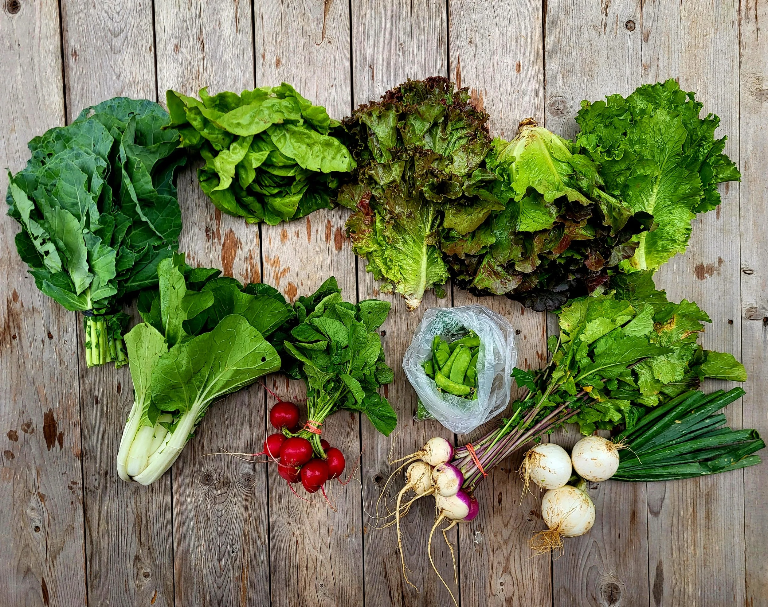 CSA Share Notes May 7, 2026 