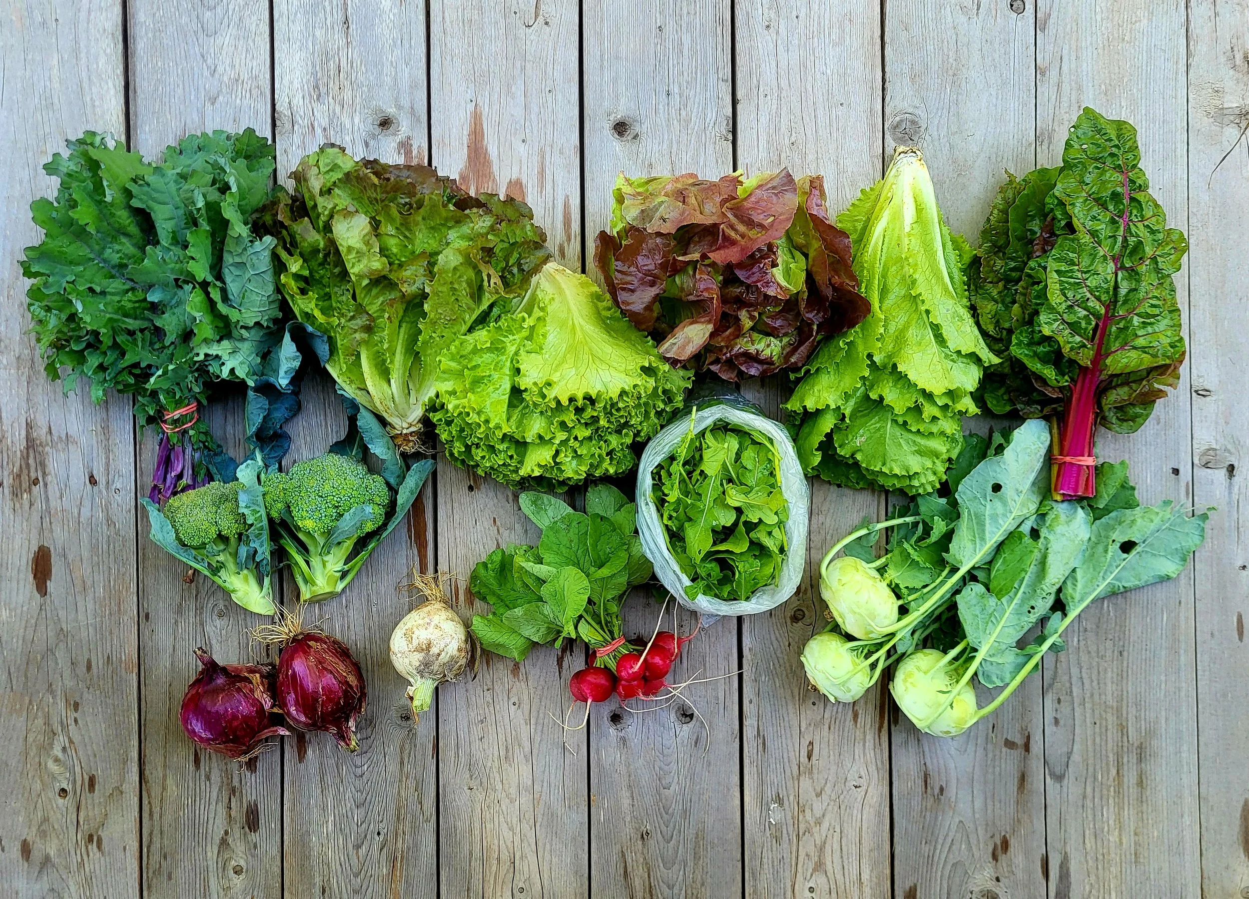CSA Share Notes May 14, 2026 